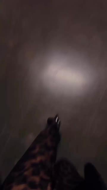 @herahoxha0