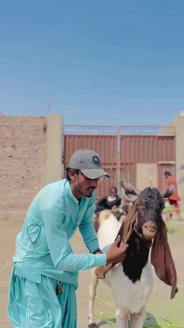 @✨.زاهد سولنگي واپاري. 🐐