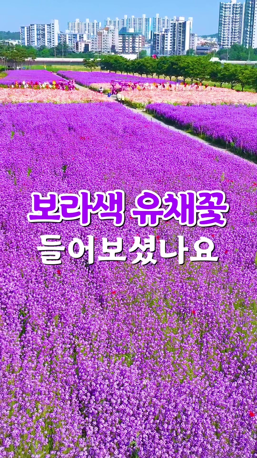 @Ddoo_pd