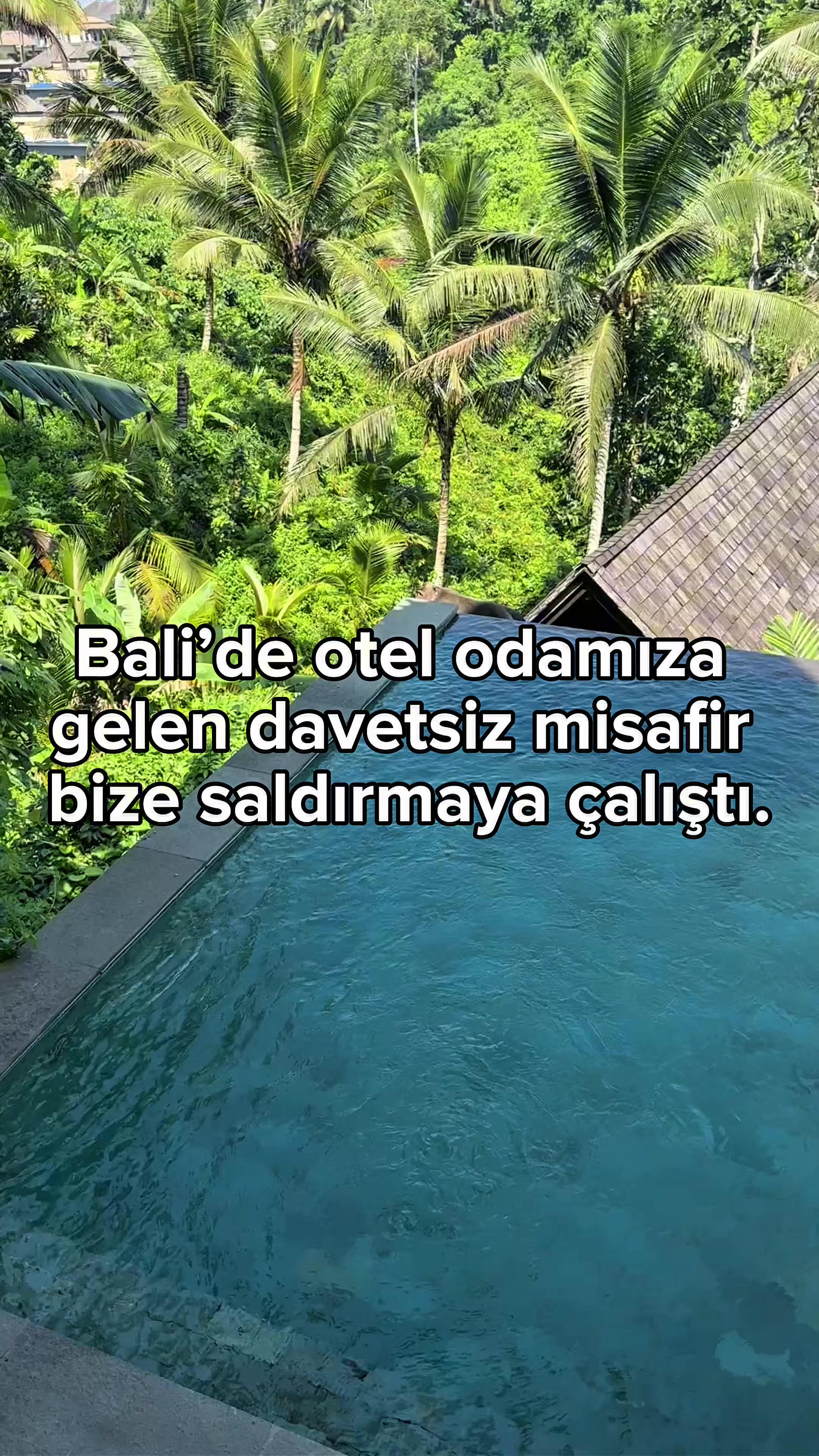 @Tipsiz Family