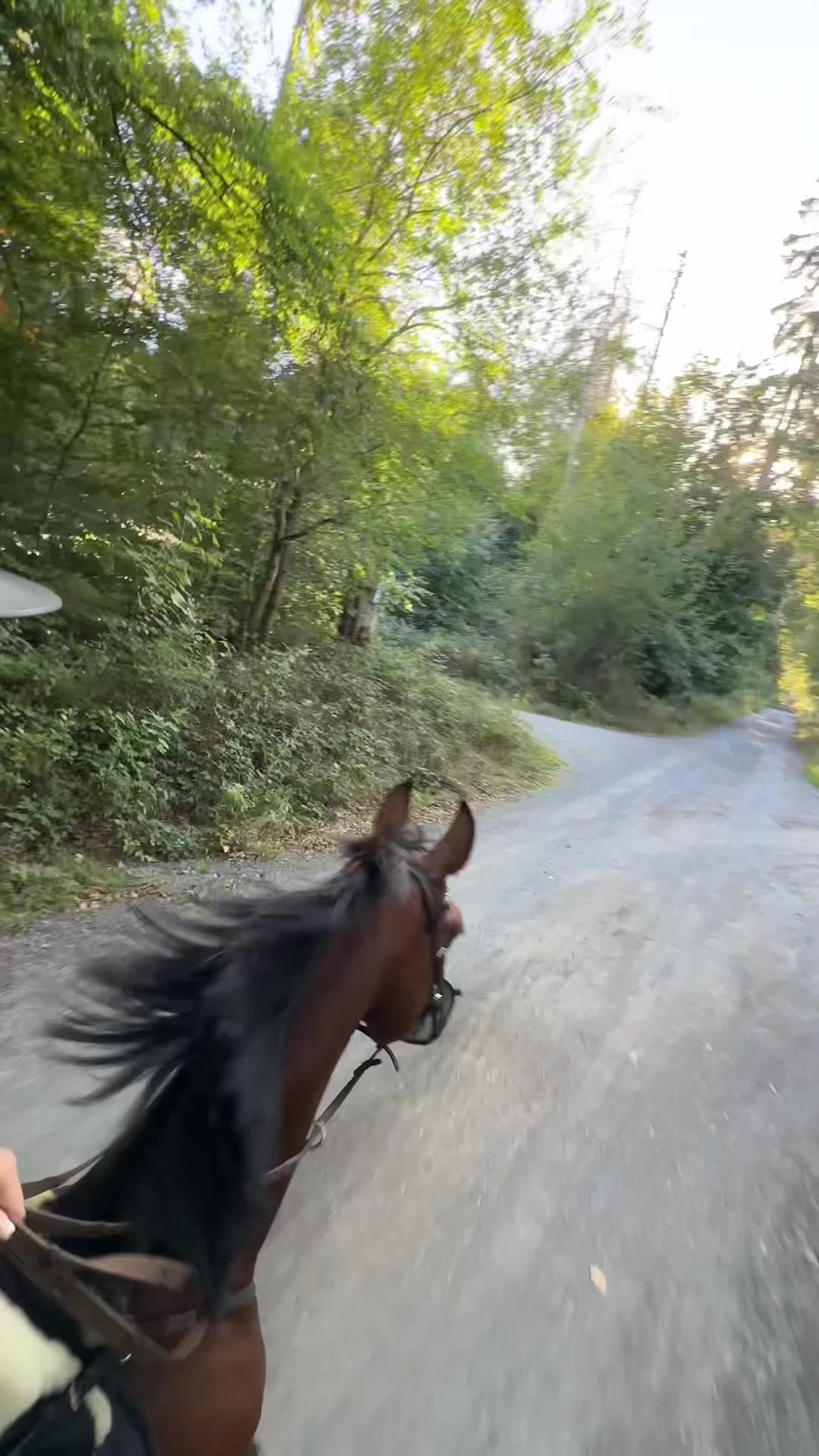 @callitoos.horselife
