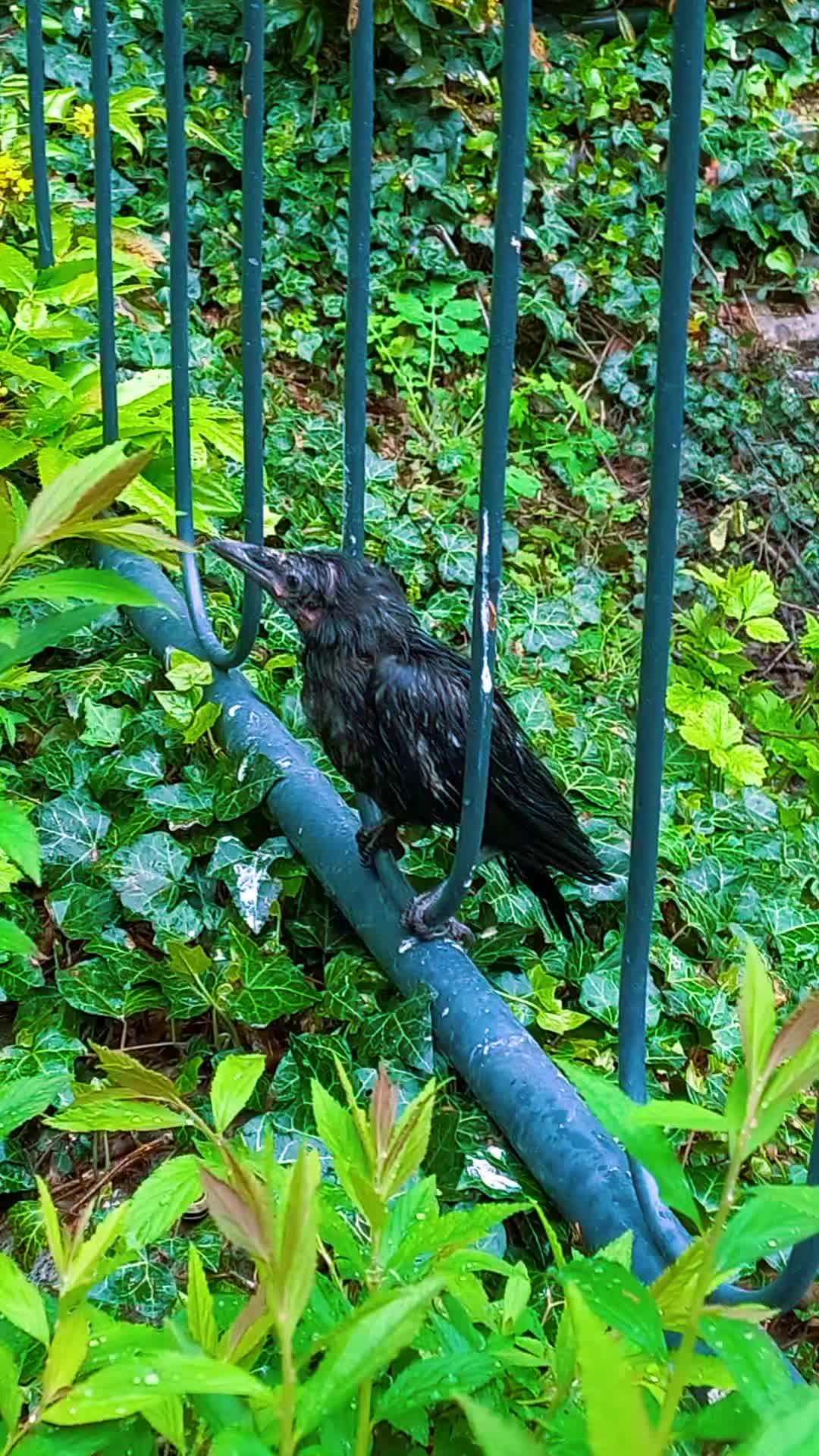 @🦚🆃𝓲𝓮𝓻🅿𝓪𝓻𝓴🆃𝓸𝓴🦚