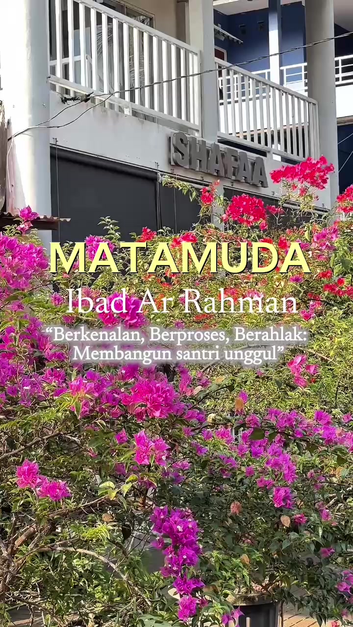 @Ibad Ar Rahman I.B.S