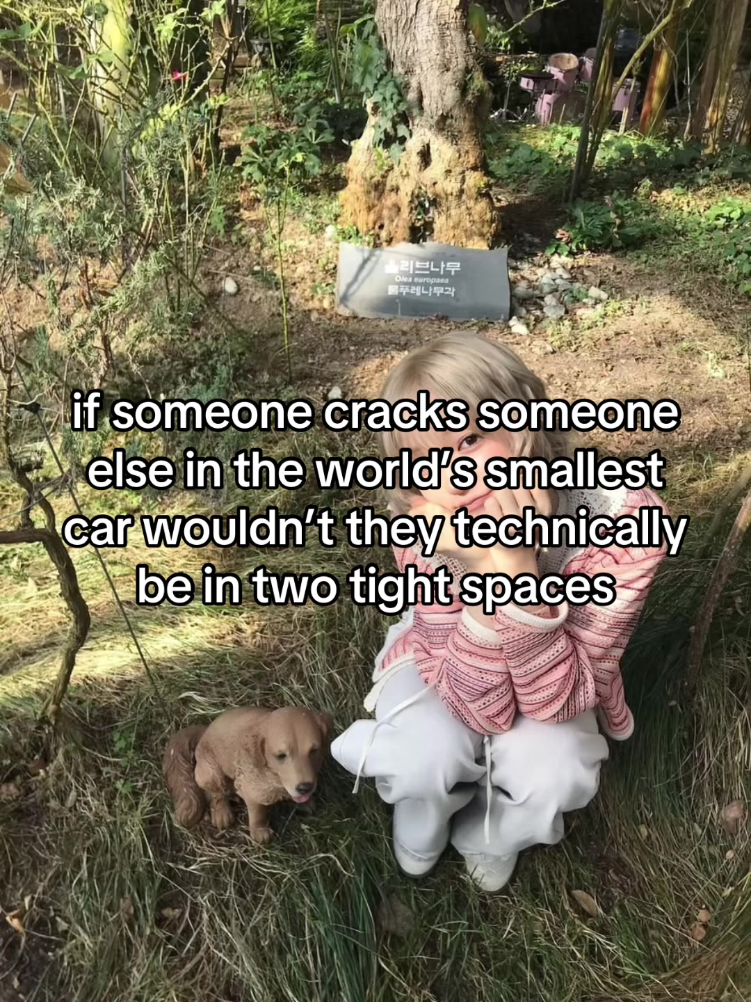 @ᴊᴇɴ ! (ᴘʟᴜᴛᴏ’ꜱ ᴠᴀʟᴇɴᴛɪɴᴇ)💌
