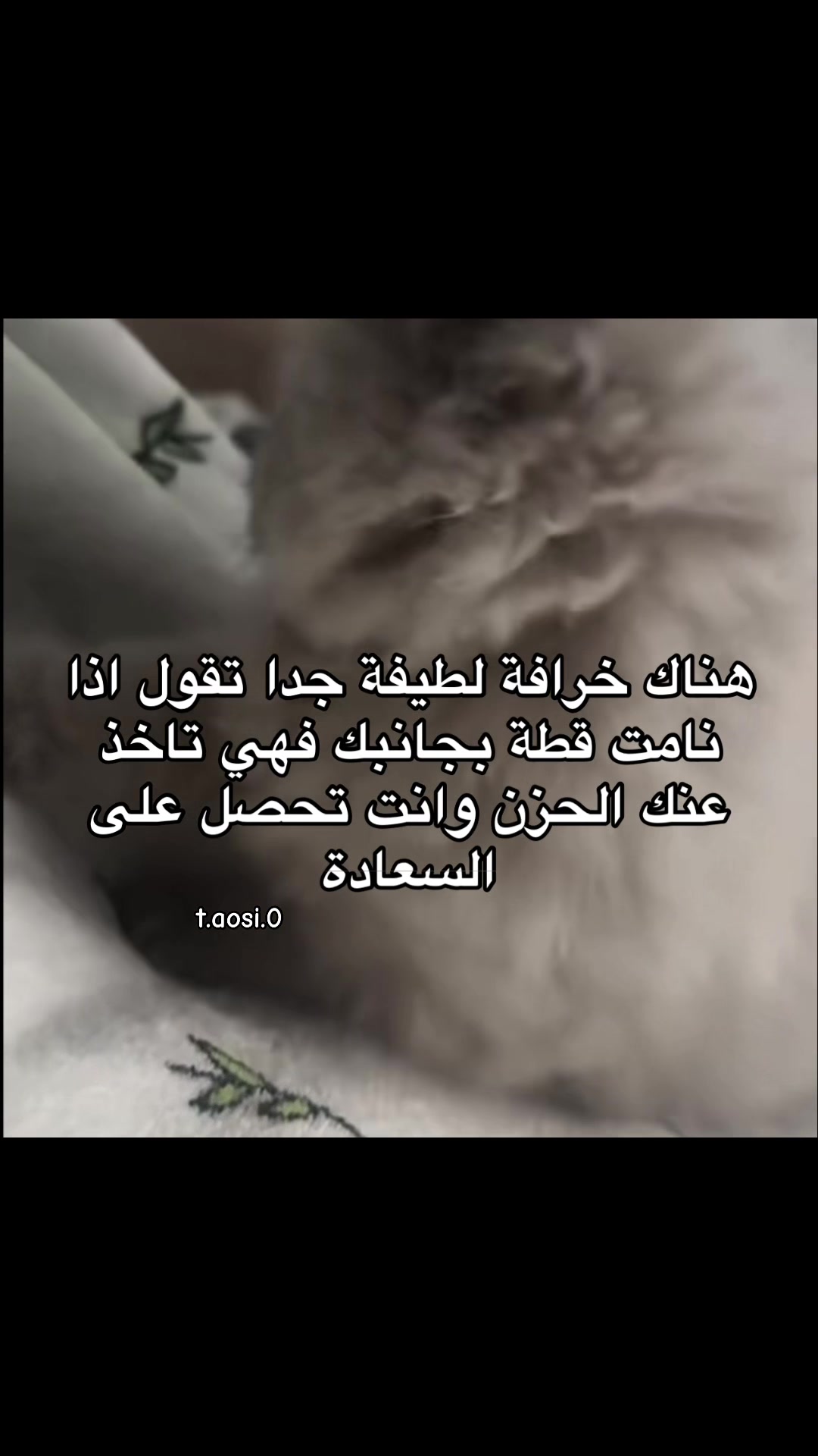 @t.aosi.0