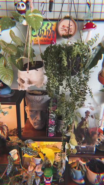 @🗡️🌿📚Tex📚🌿🗡️