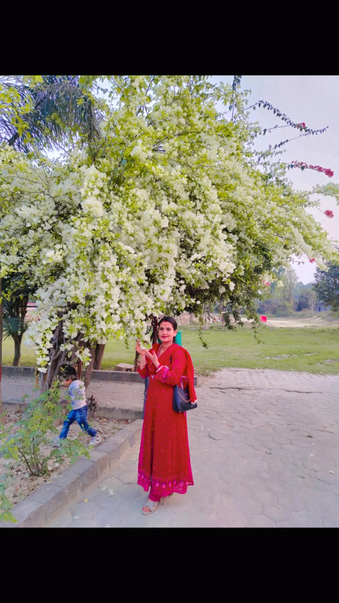 @Rising Rebo