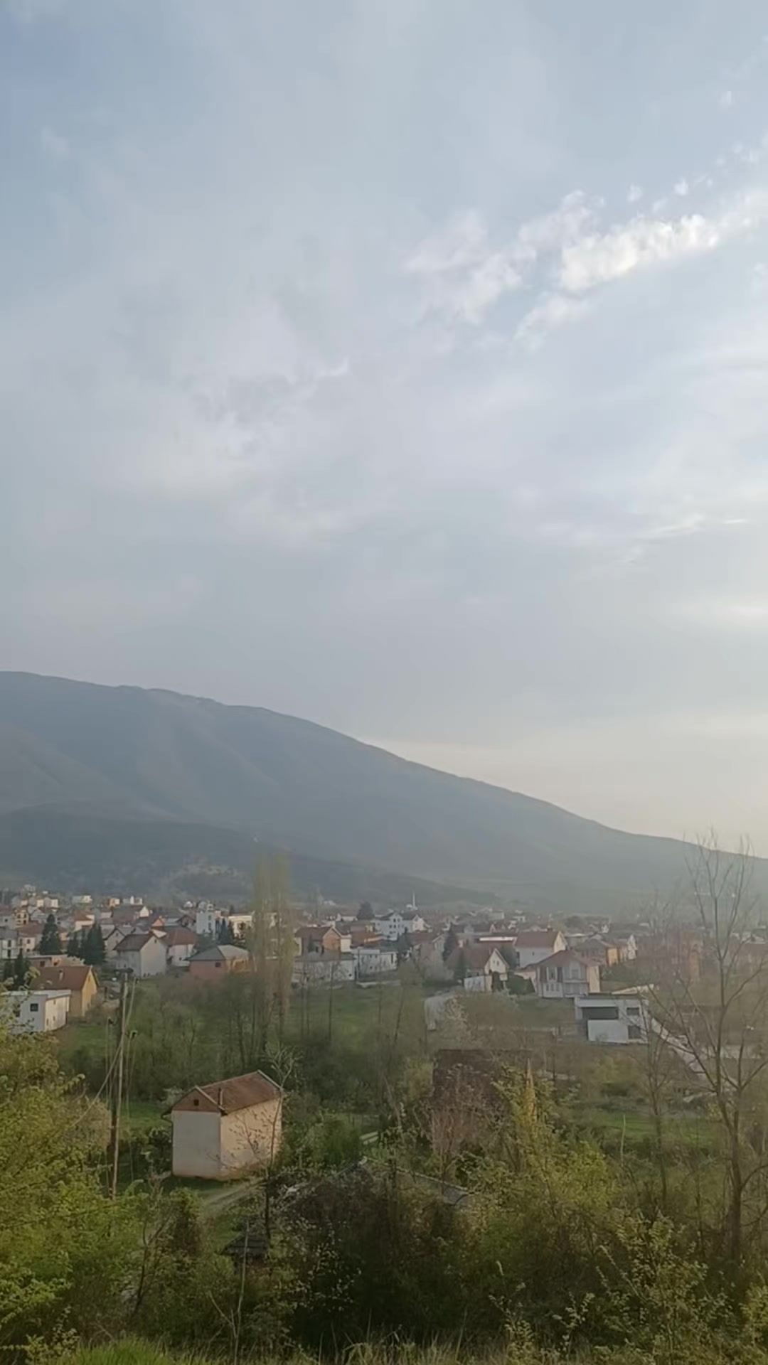 @Enis Mala