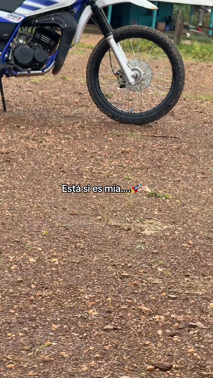 @El Mono🦦