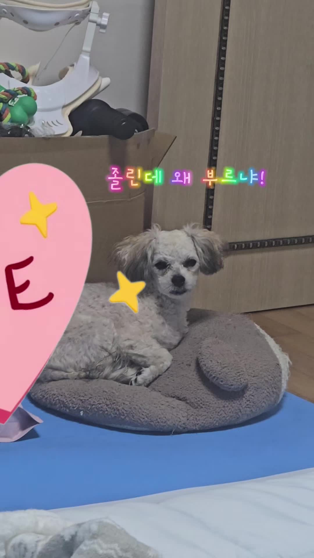 @토토엄마