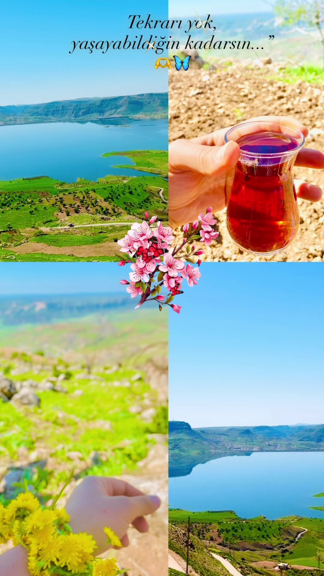 @Kübra korkmaz
