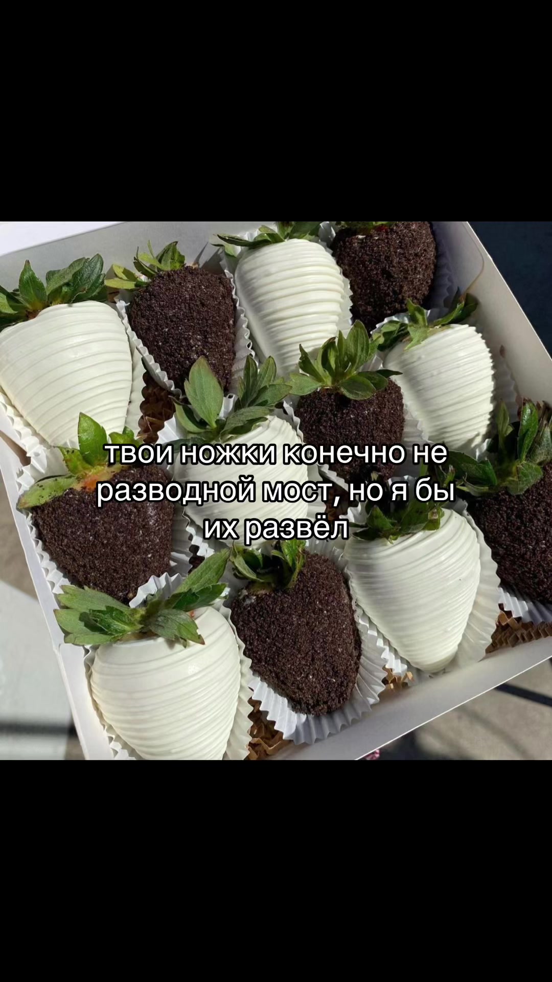 @появление