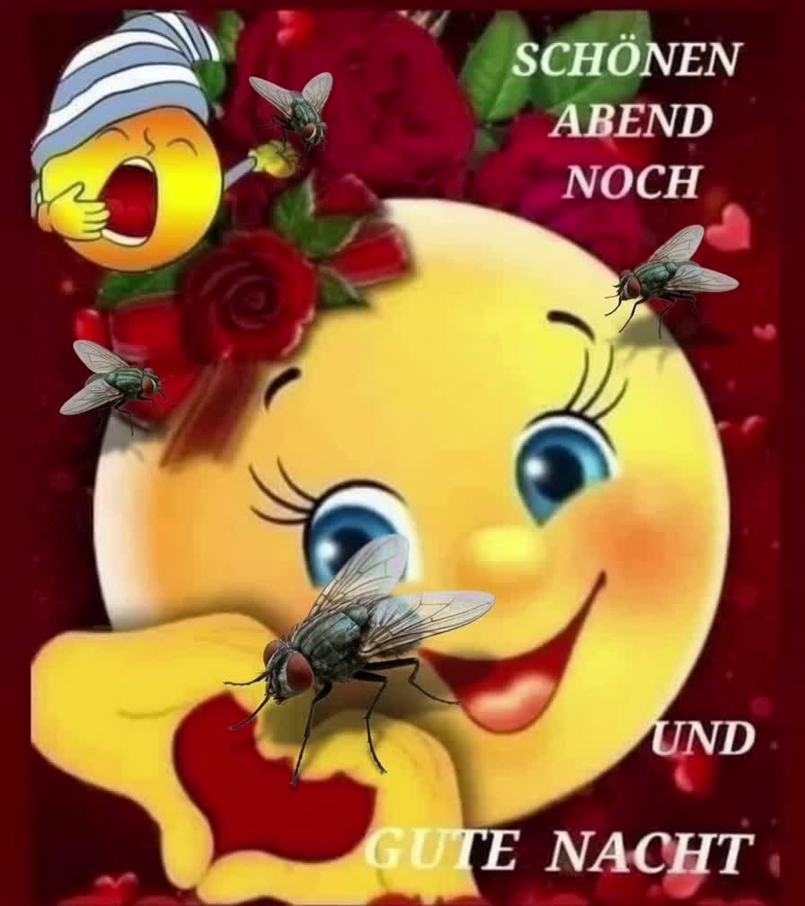 @Fritzi