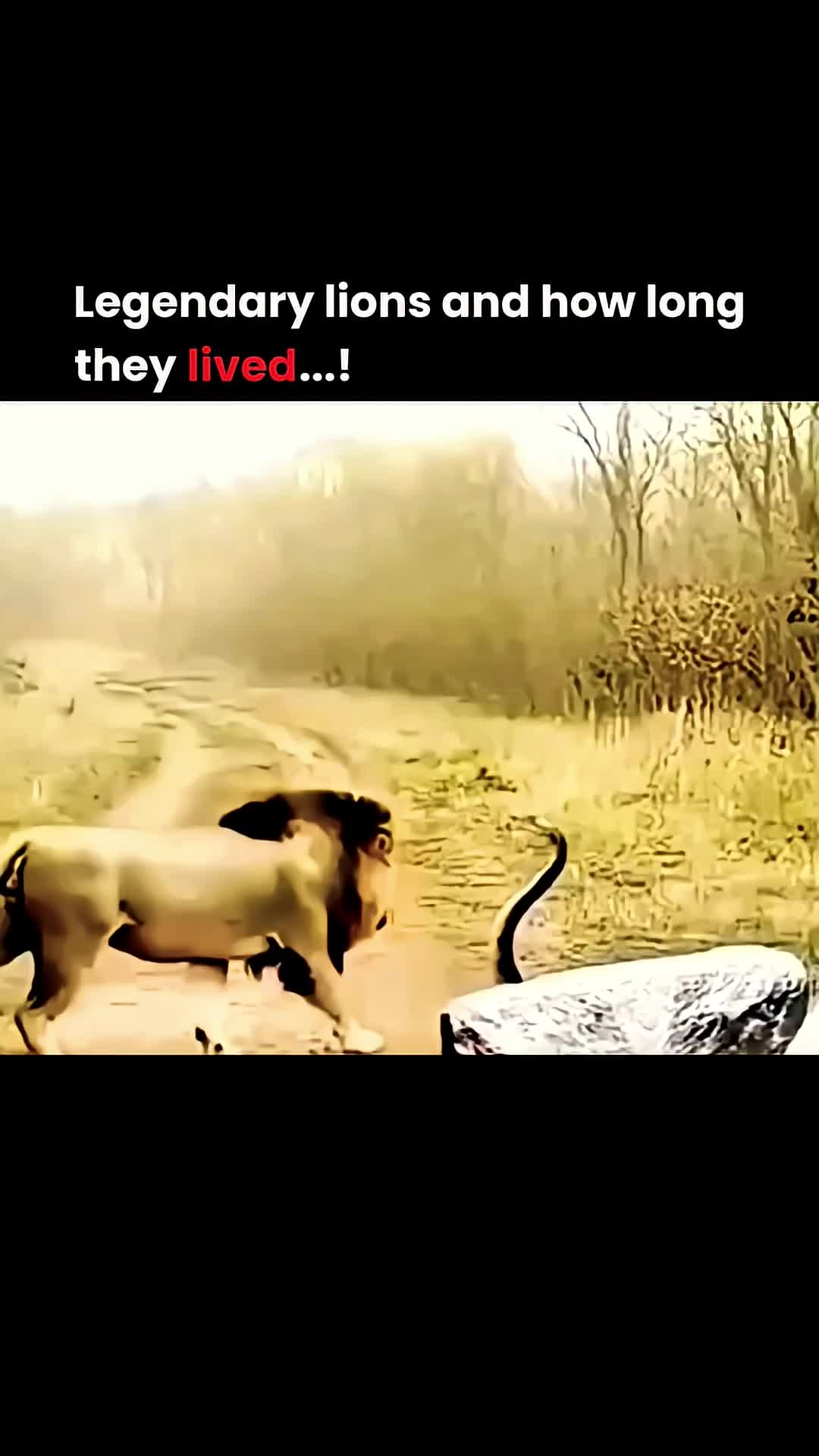 @MPANSO