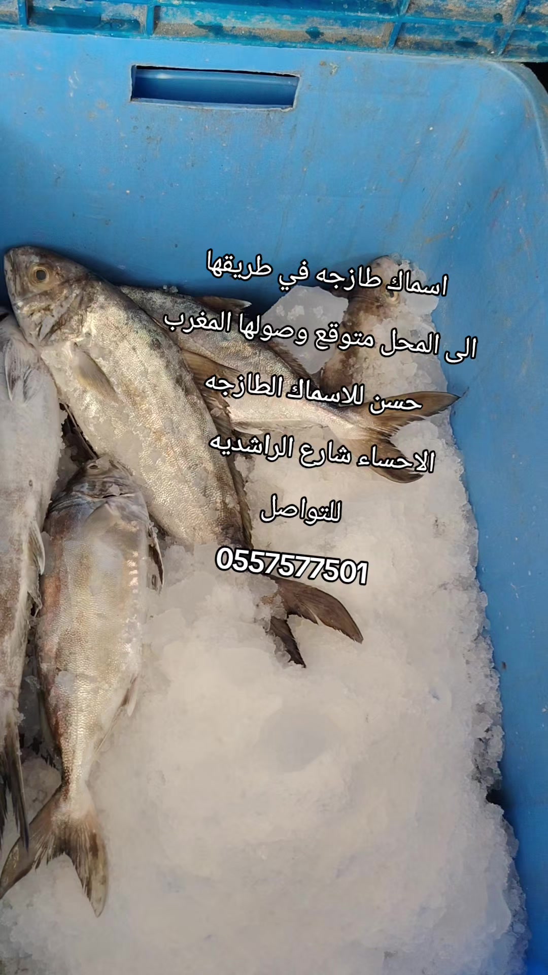 @لاين بحري