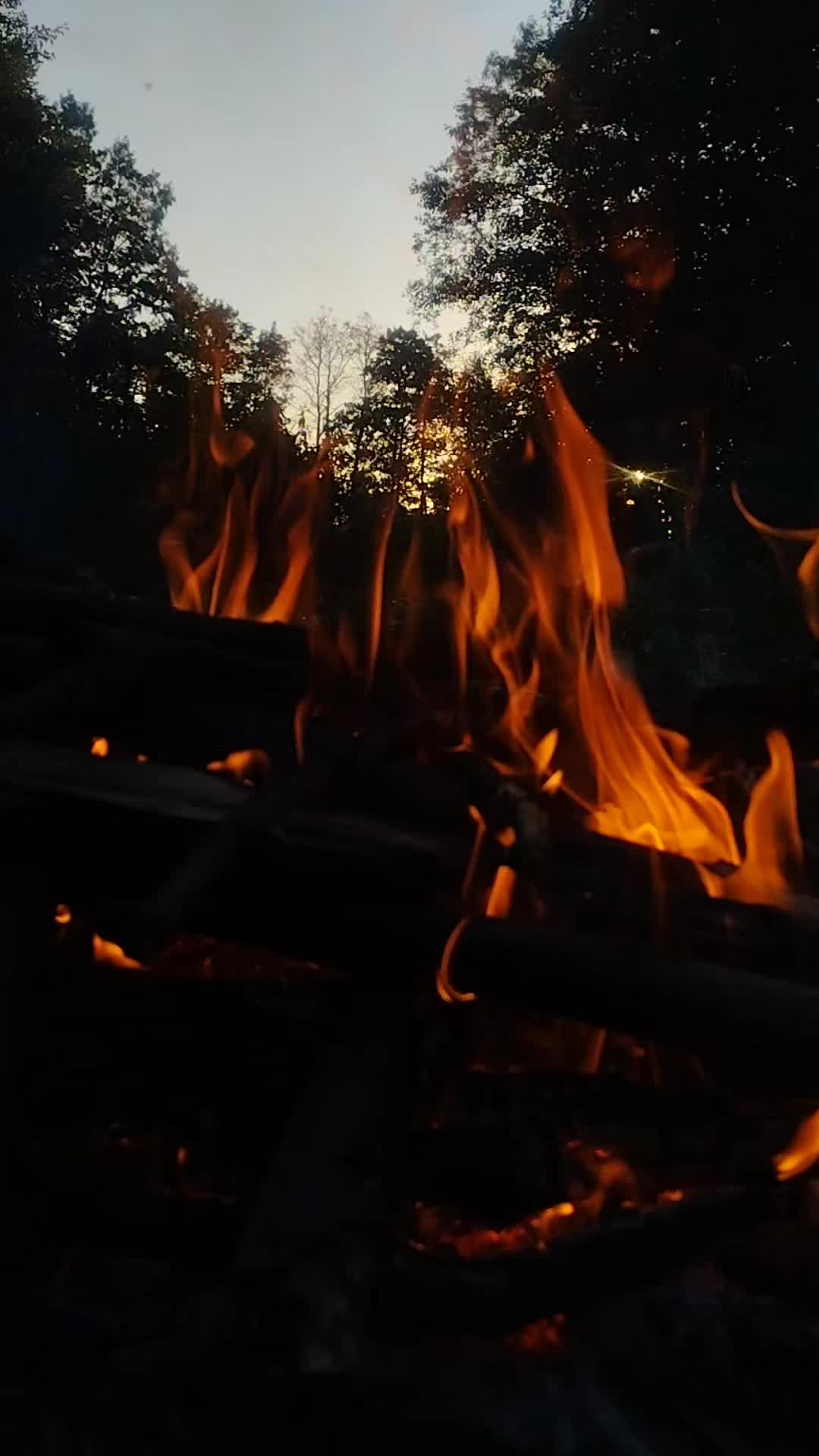 @Екатеринушка🐦🔥