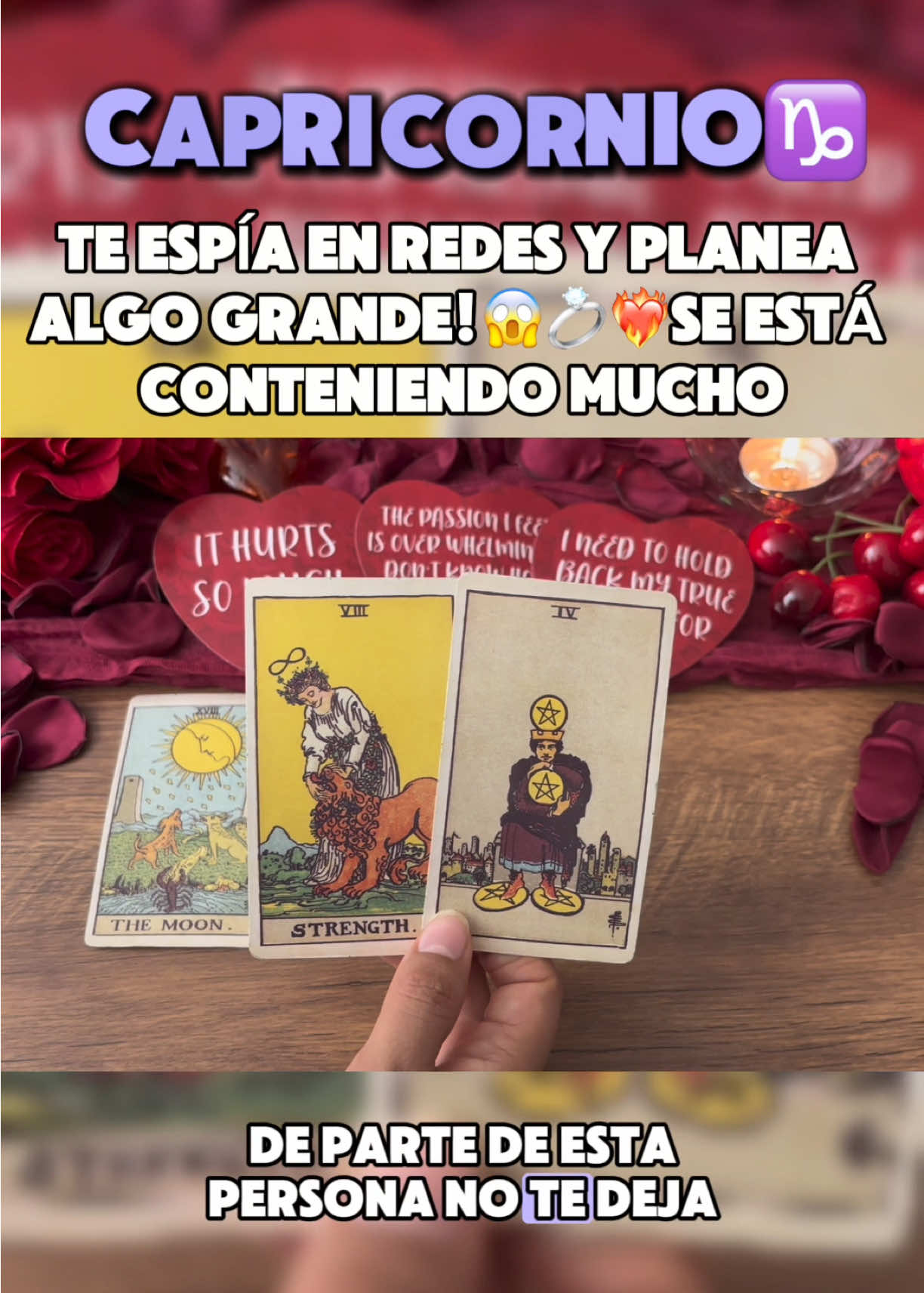 @Andy Sun Tarot ☀️
