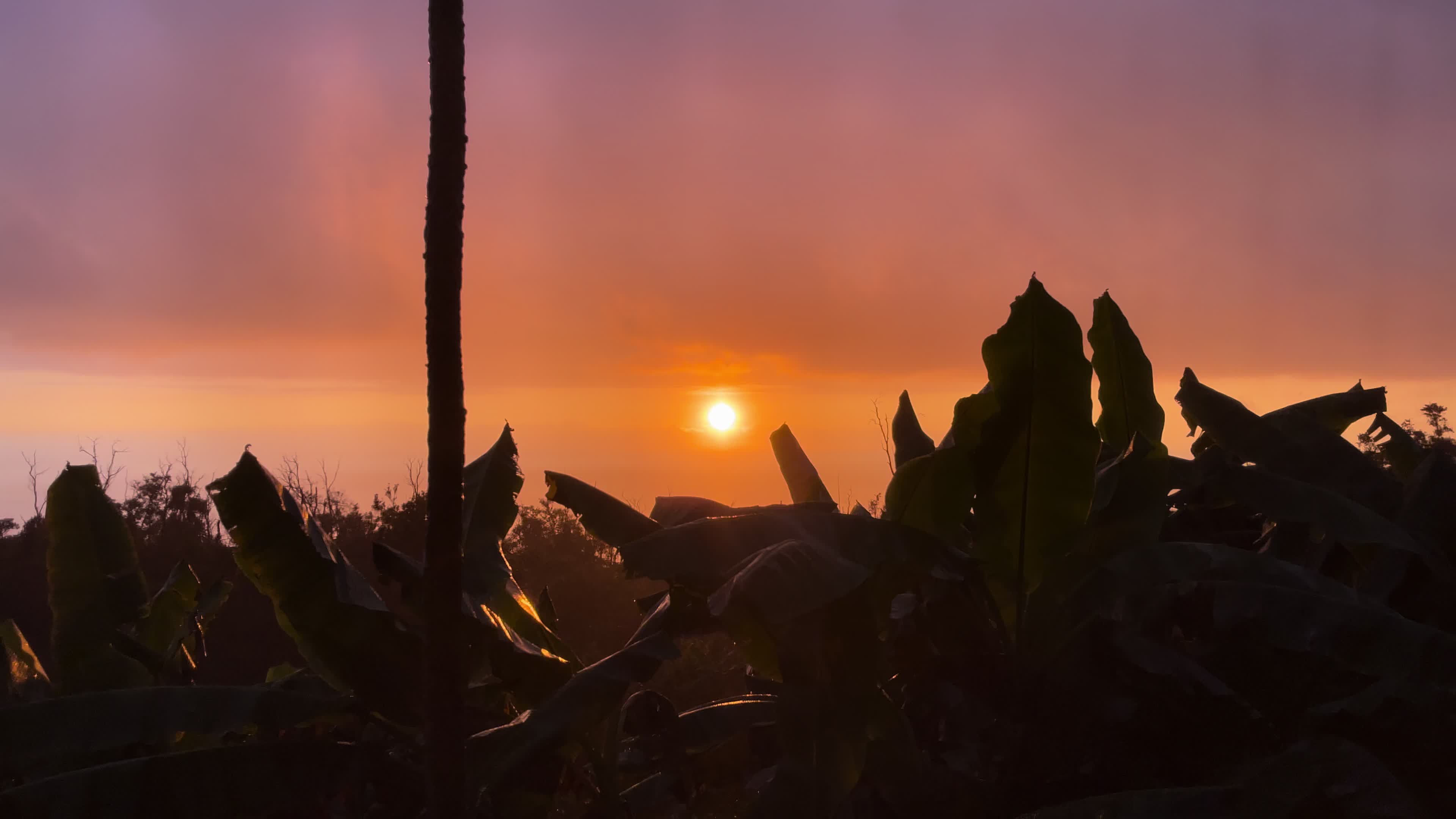 @SouthKonaSunsets