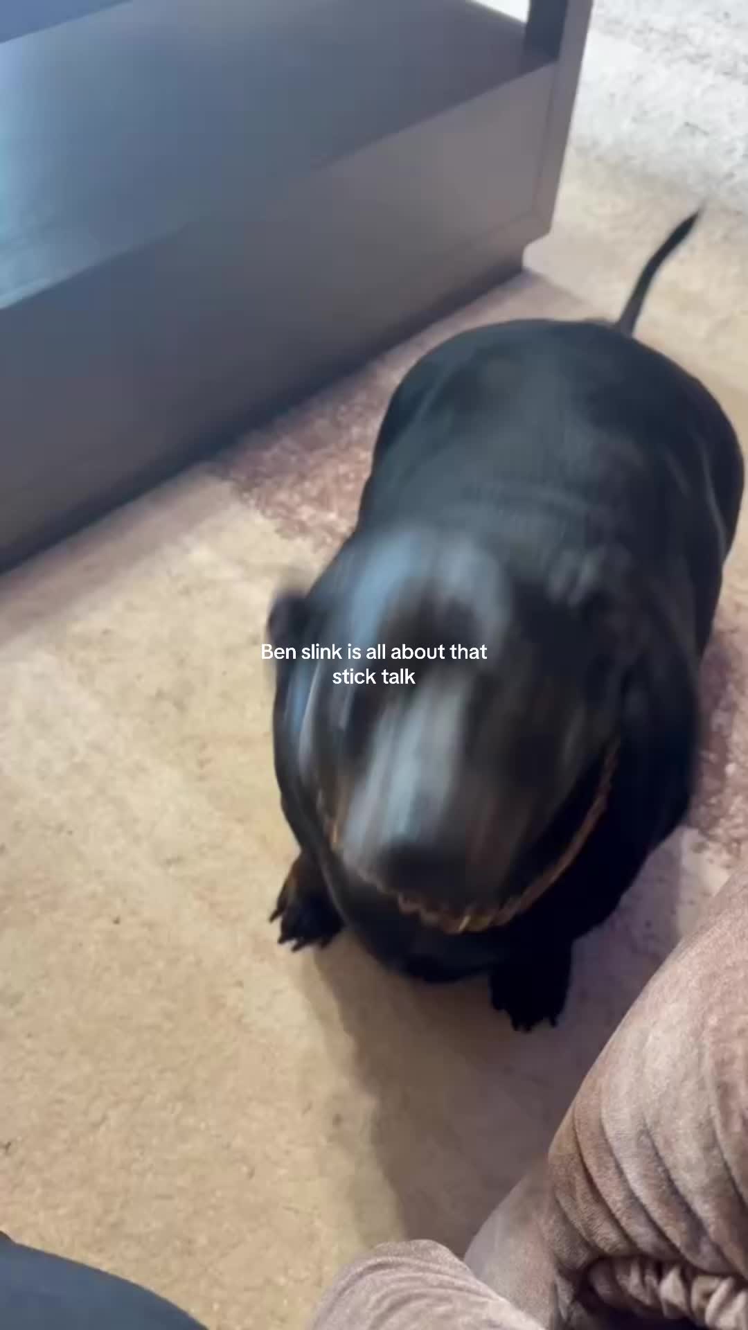 @BenSlinkdawg