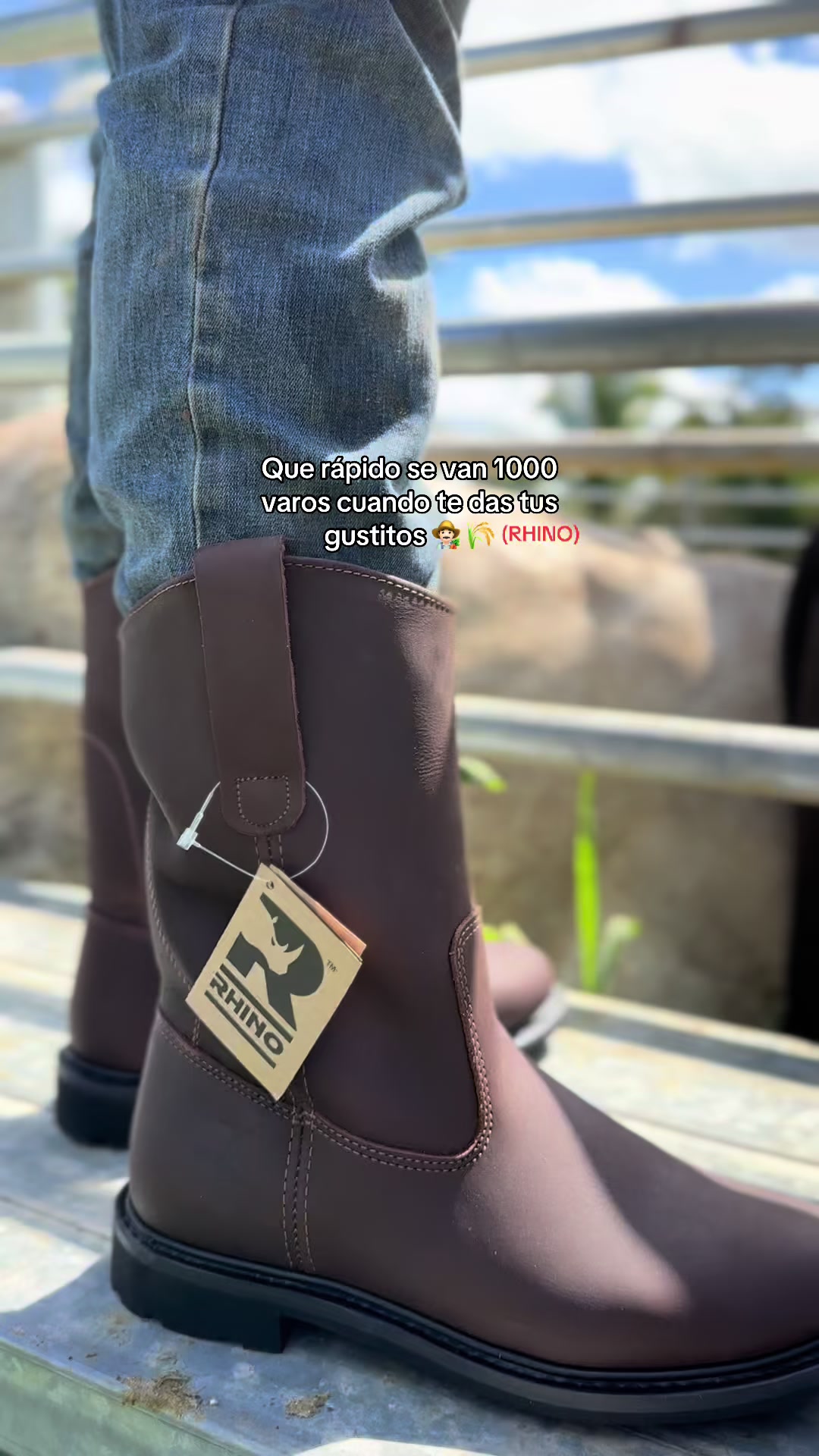 @Venta de Botas RHINO