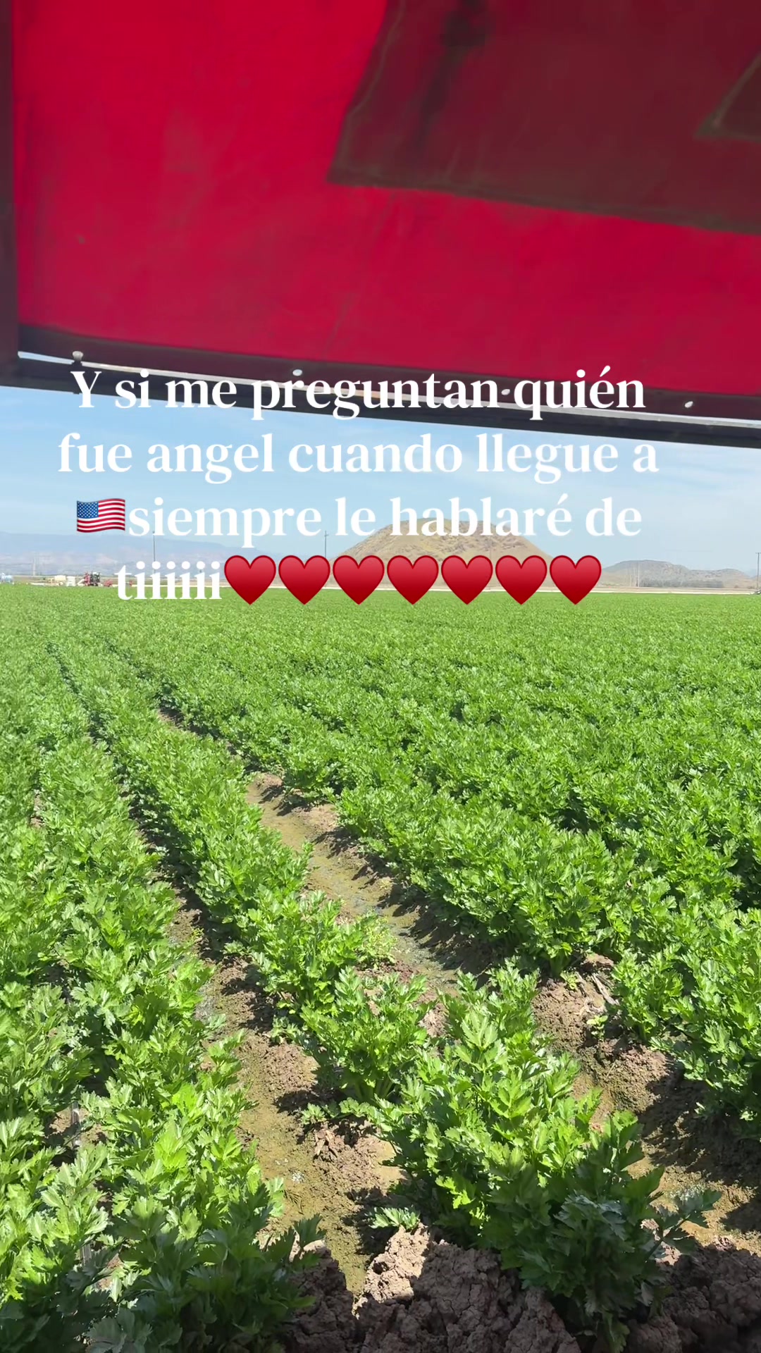 @🇲🇽CDMX🇺🇸Indio California💙