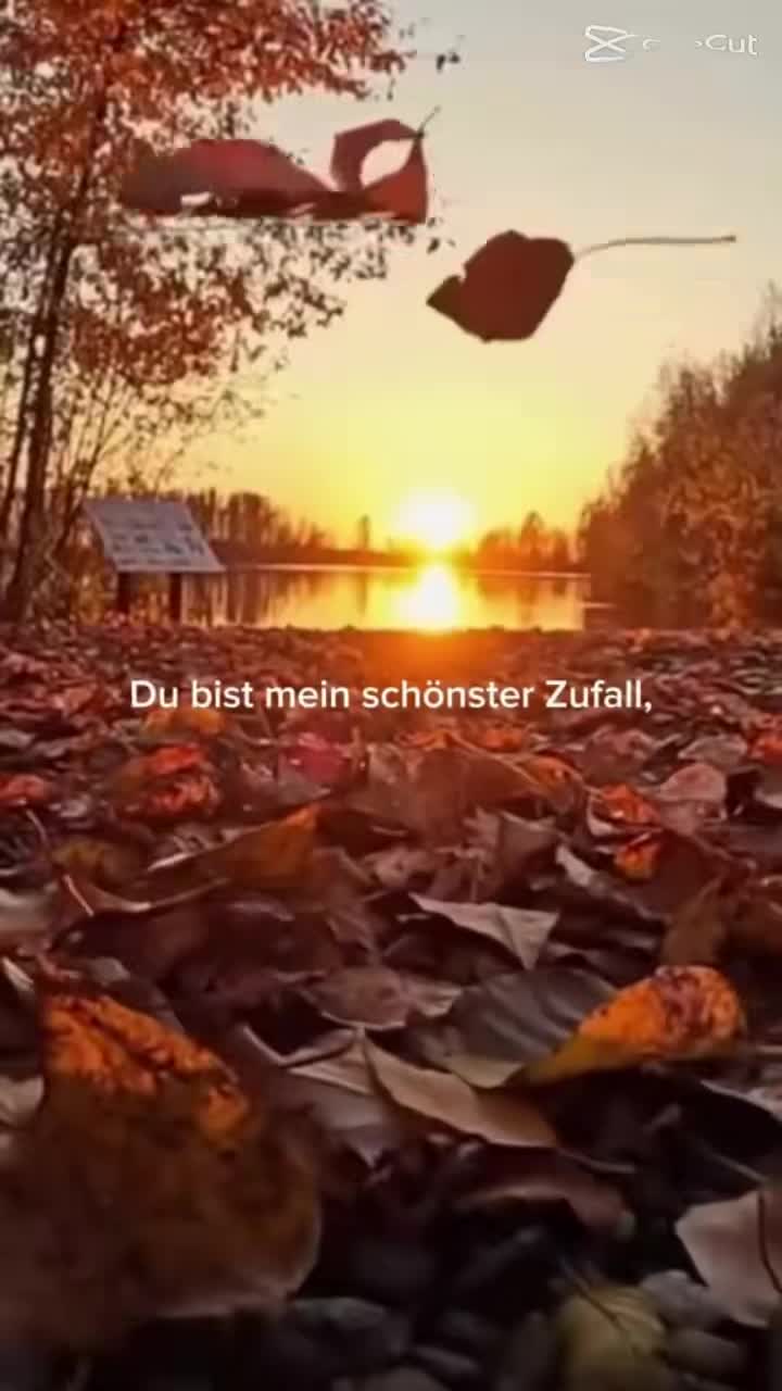 @𝔐𝔞𝔫𝔱𝔞 𝔐𝔦𝔠𝔥𝔦