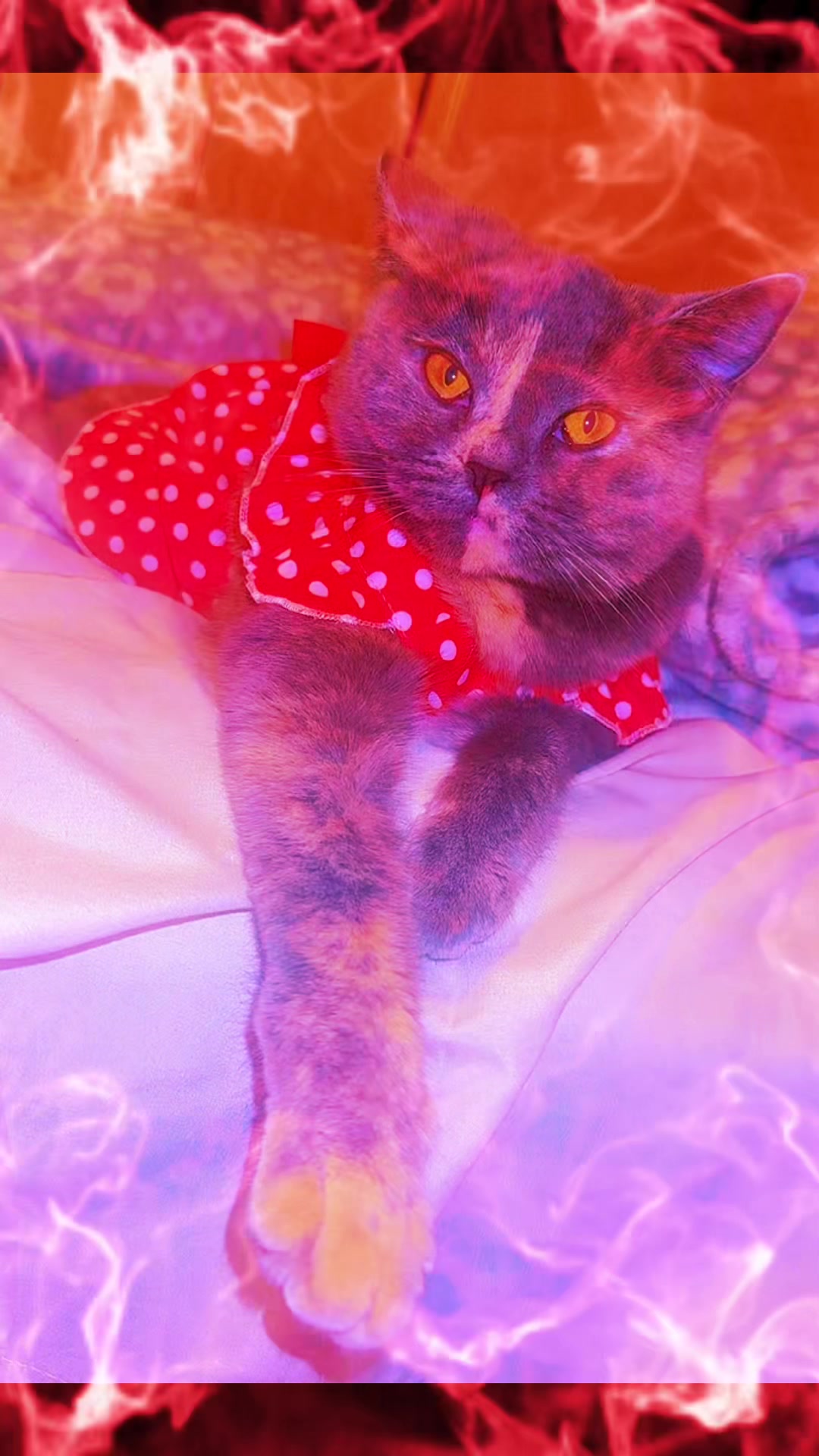 @𖤐☽♡ꕤ❀ℒ𝓊𝓃𝒶ℳ𝒶𝓎𝒶❀ꕤ♡☽𖤐