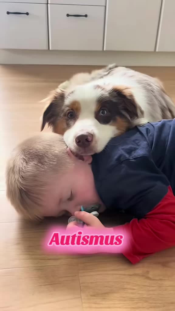 @Mylo_wird_zum_Assistenzhund