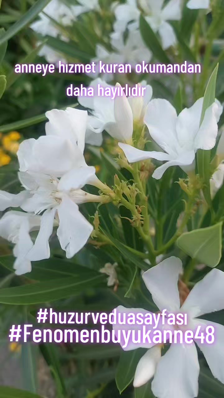 @Fenomenbuyukanne48