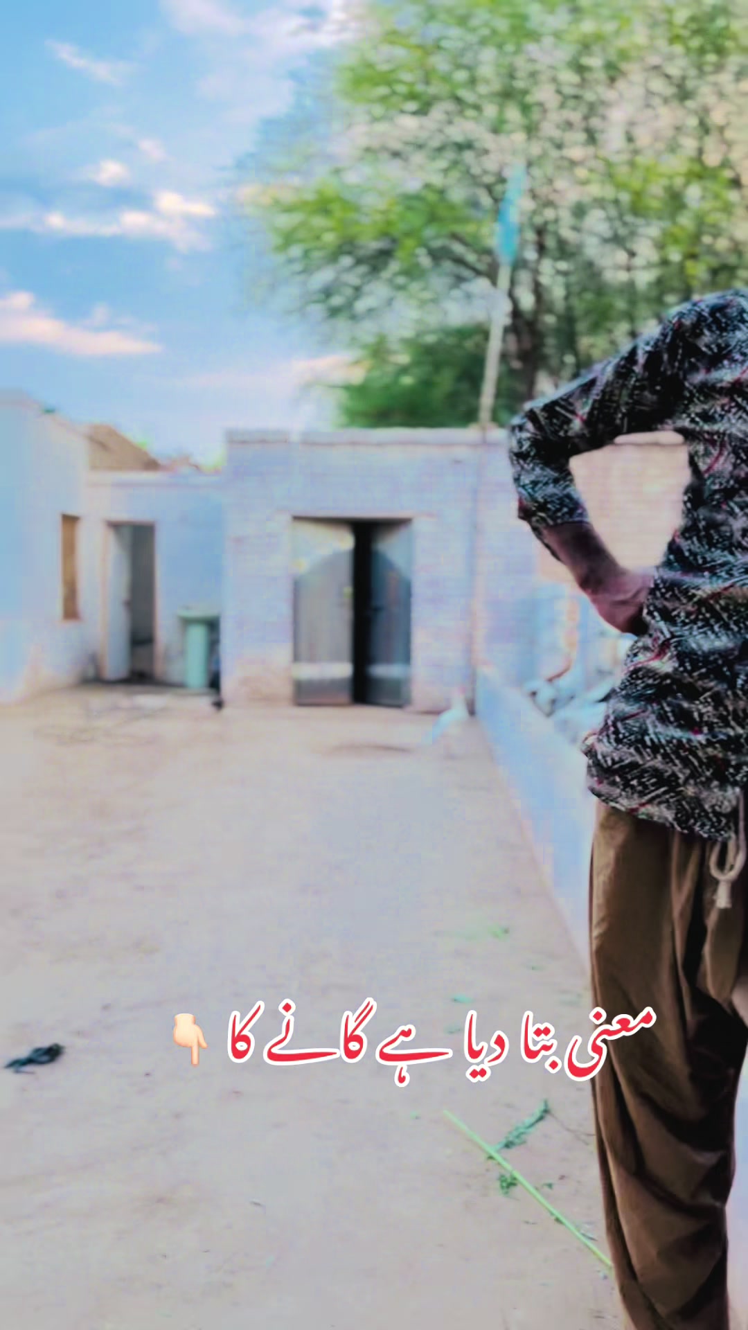 @Ayyan goat