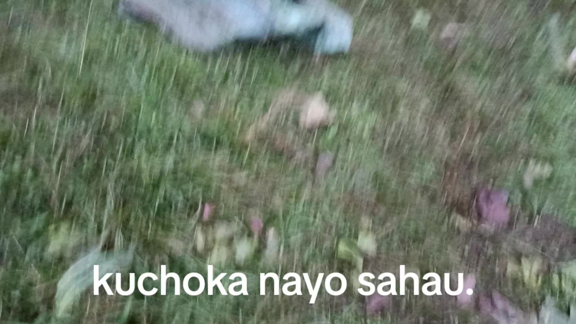 @Kim electrician