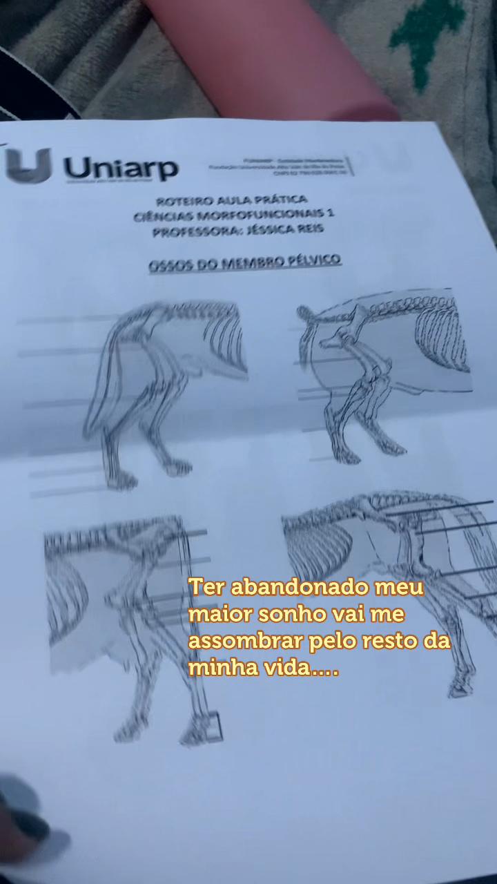 @grazy.queirozz