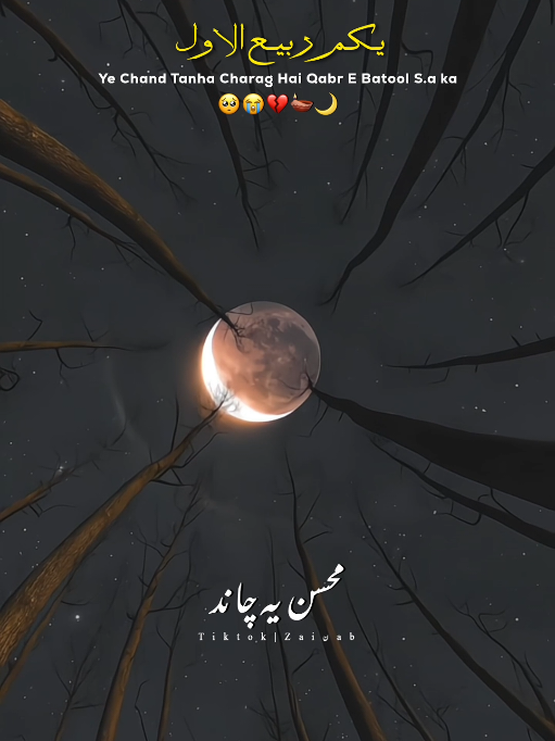 @𝐙𝐀𝐈ن𝐀𝐛ރ