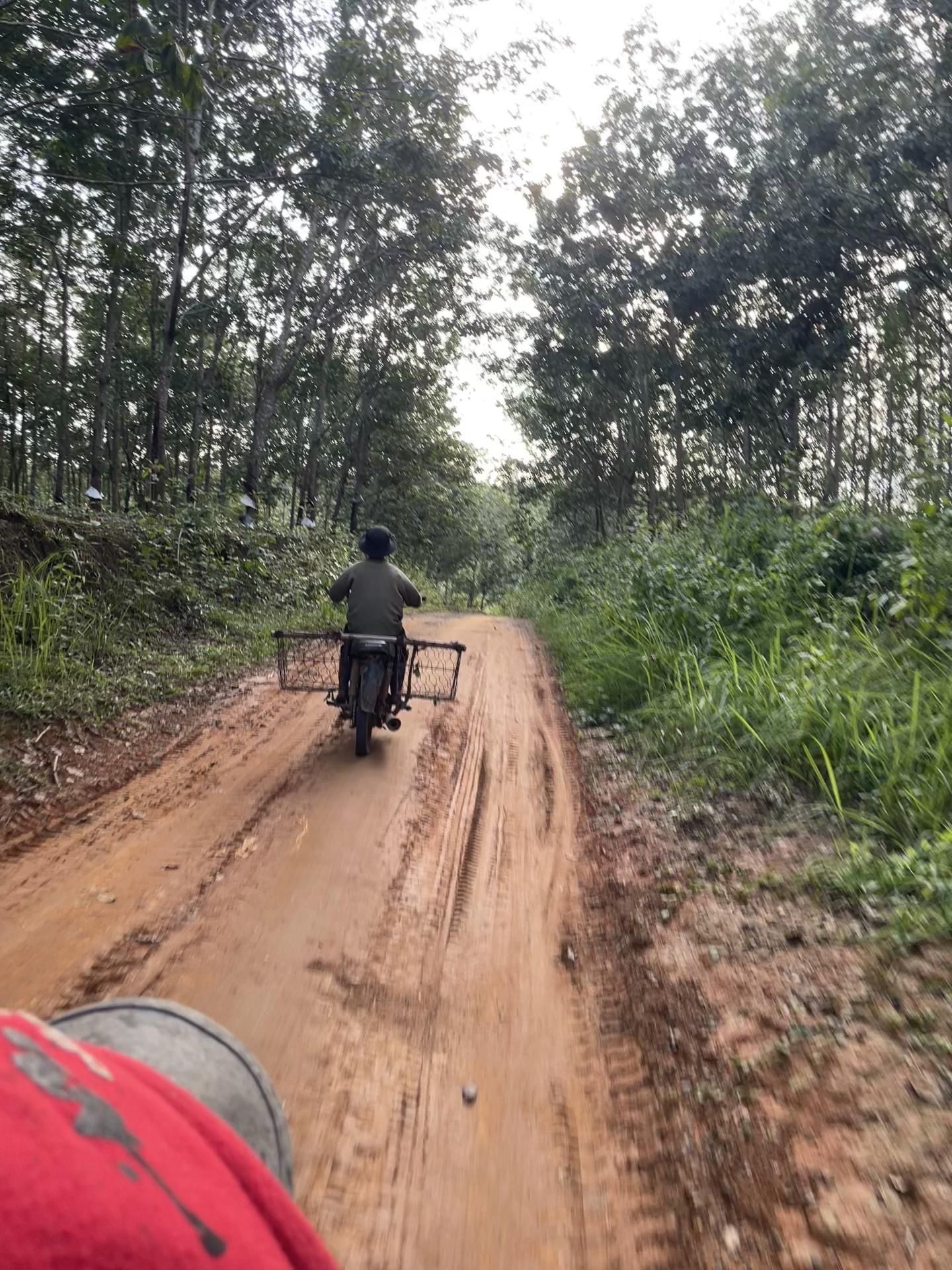 @Ku Đinh