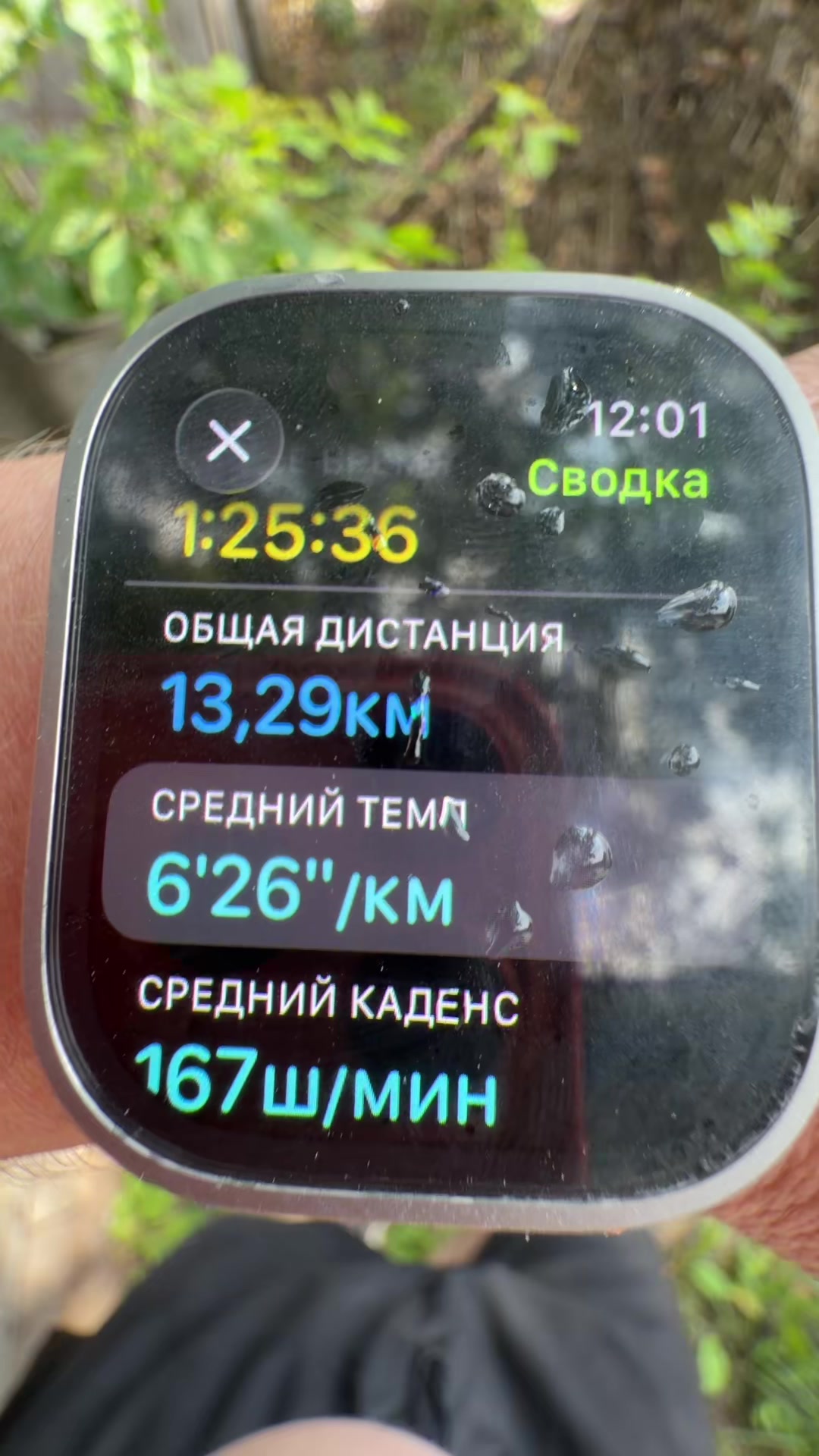 @yanis_piech