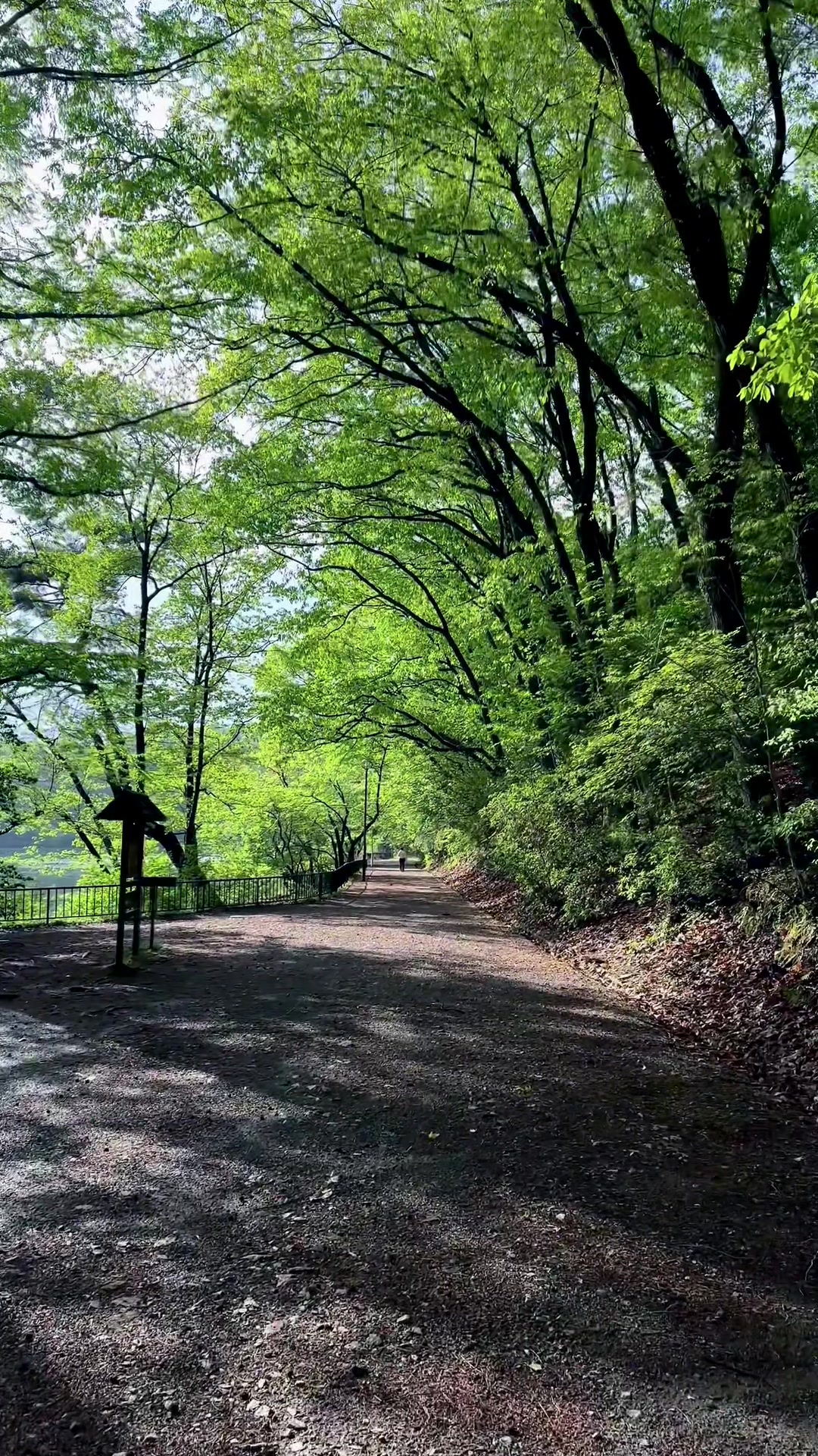 @Tanuki.no.mori
