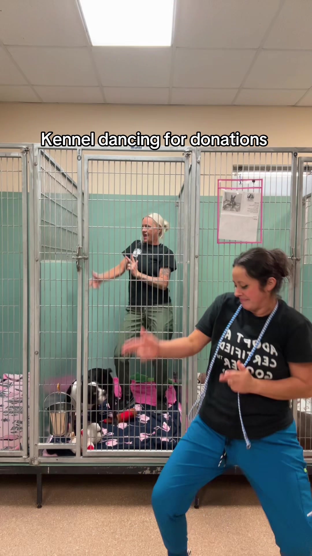 @2vettechs