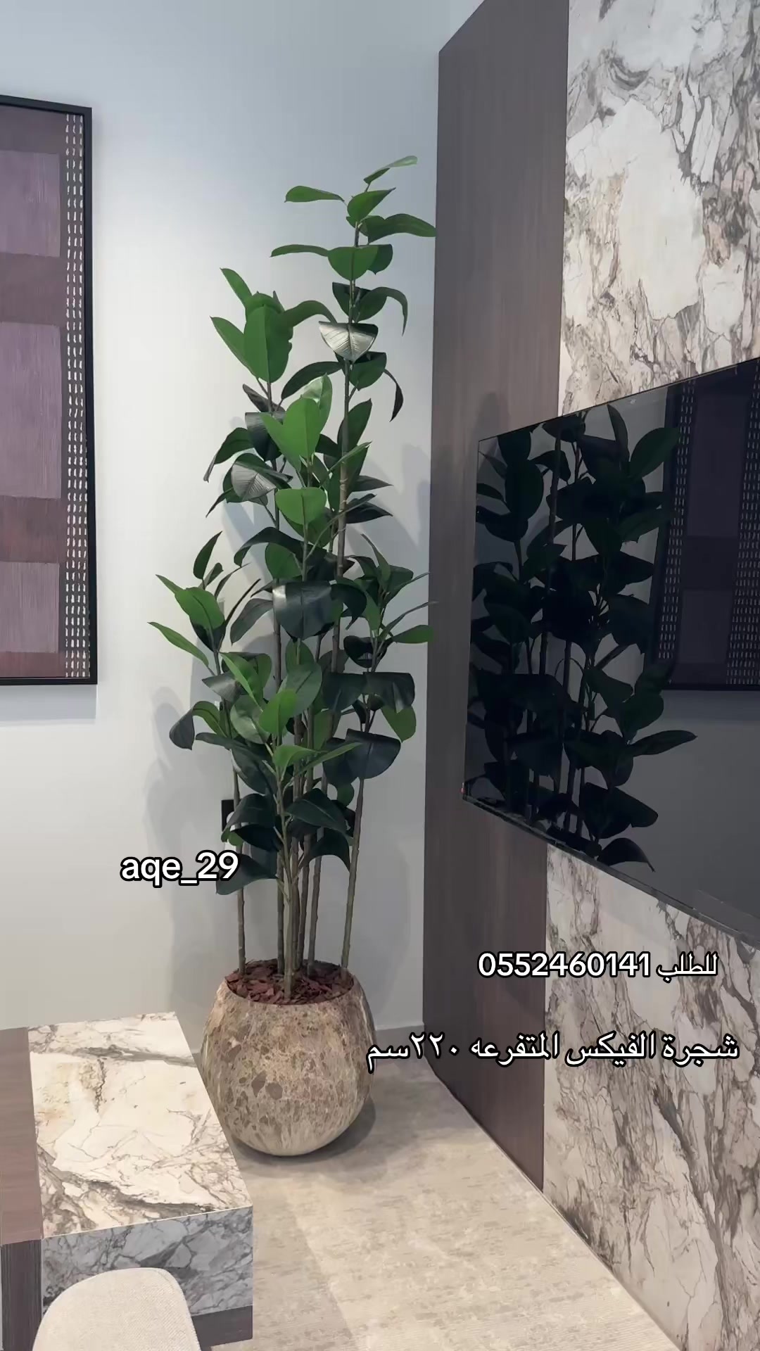 @الشجره الراقيه(زهور المملكه)🌴