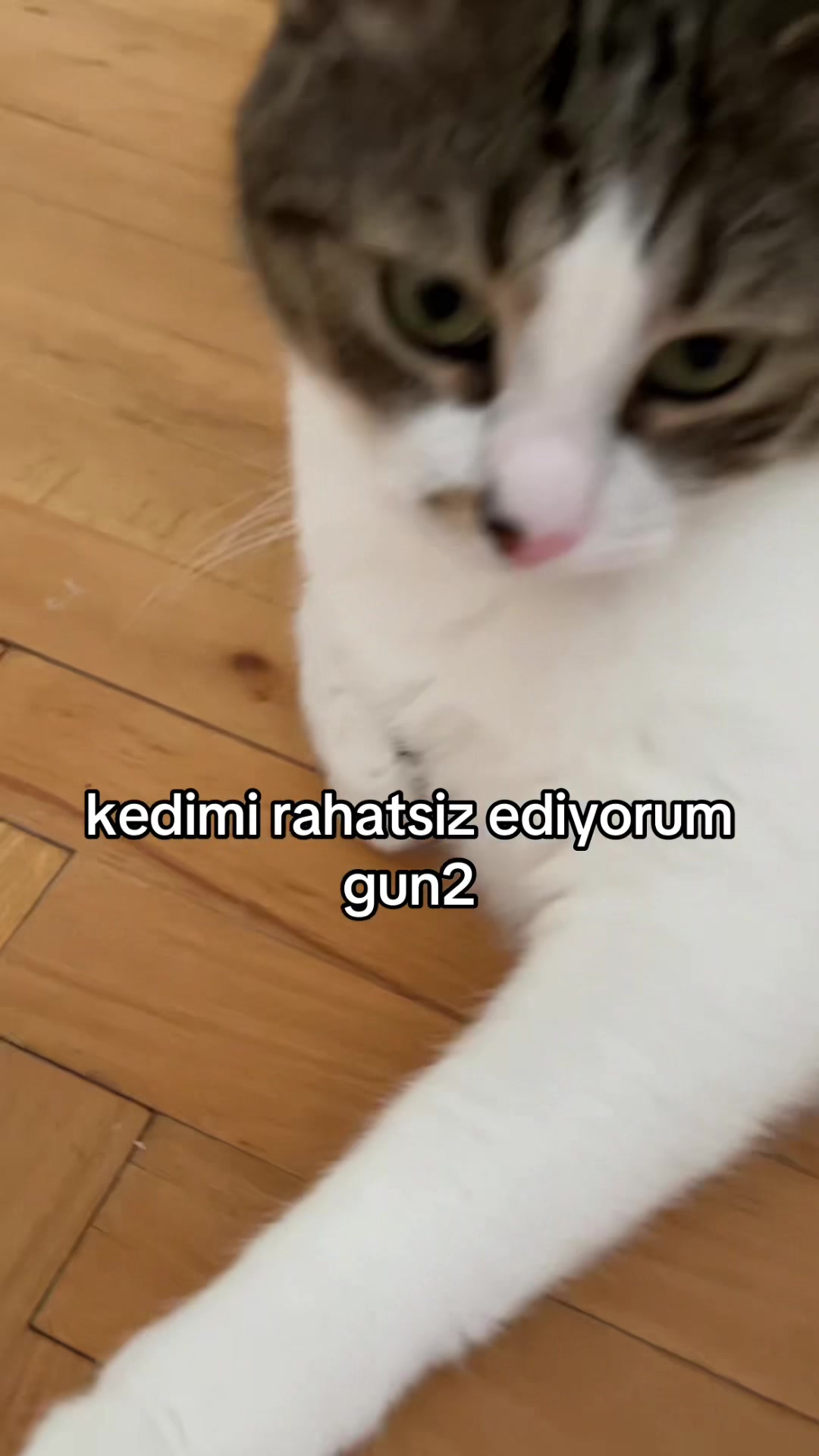 @✨slayistan cumhurbaskani✨