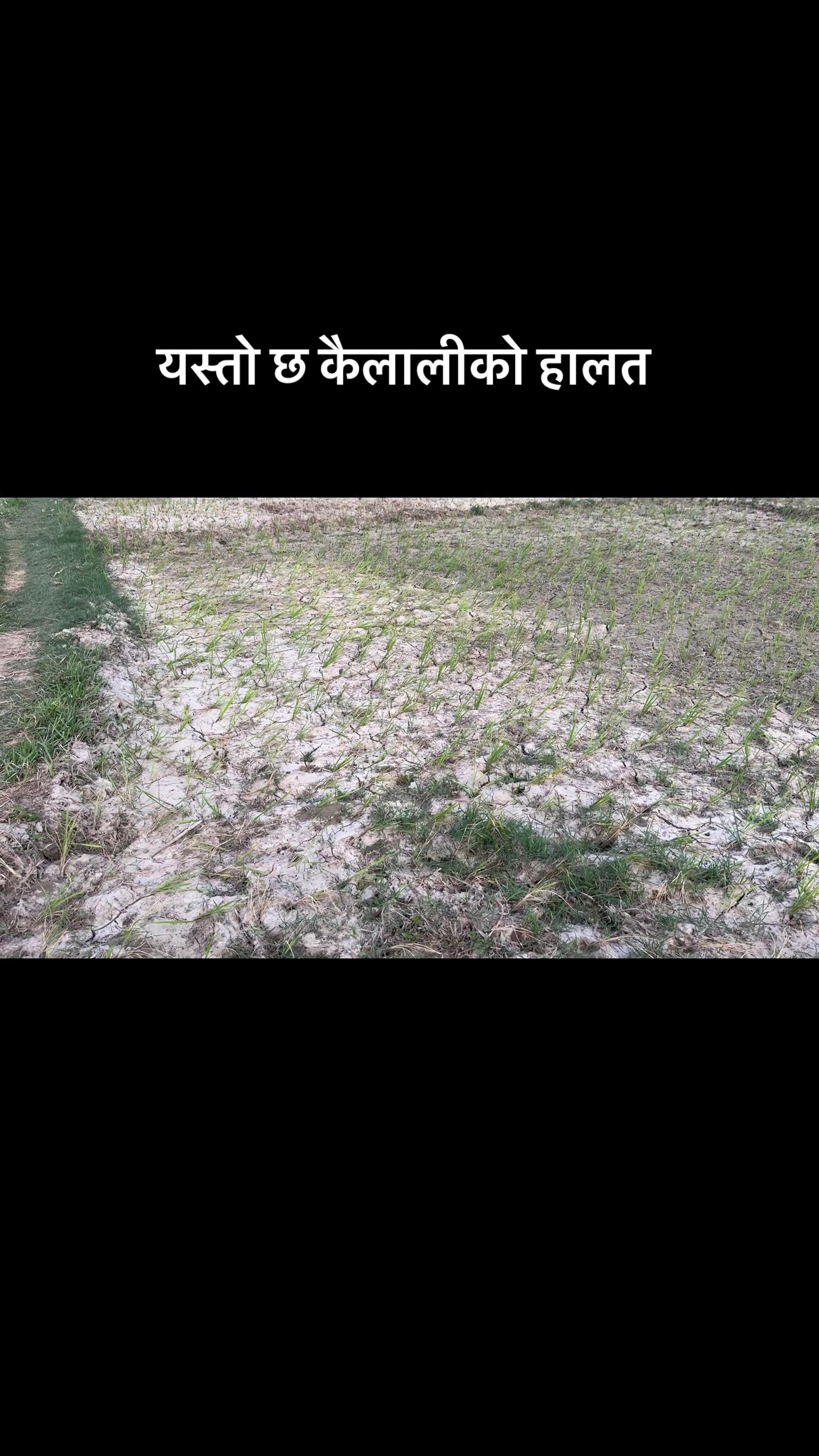 @Indu Kc