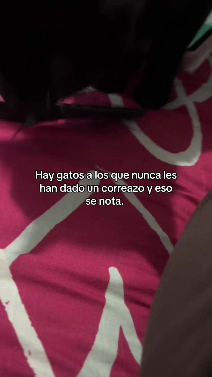 @୨ৎ