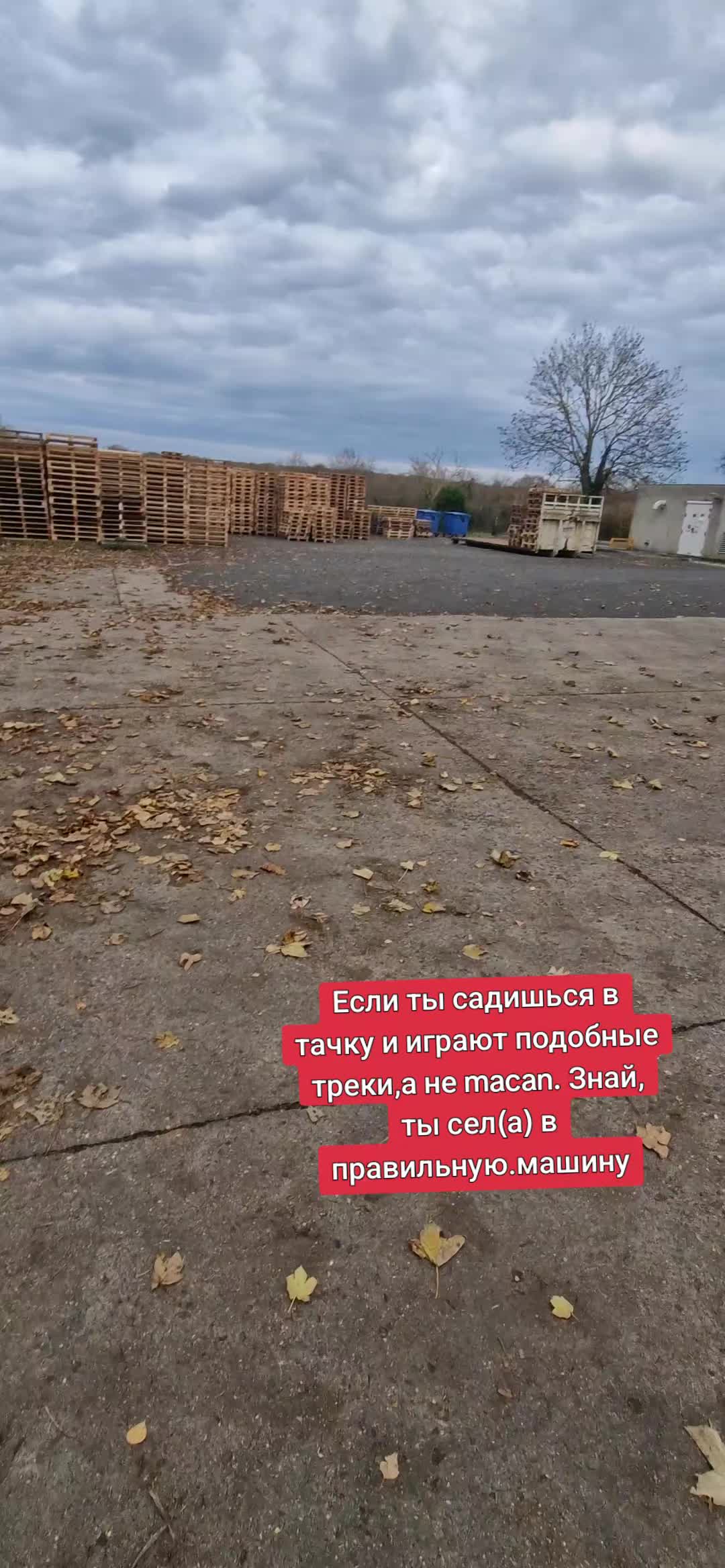 @makss_gruzz