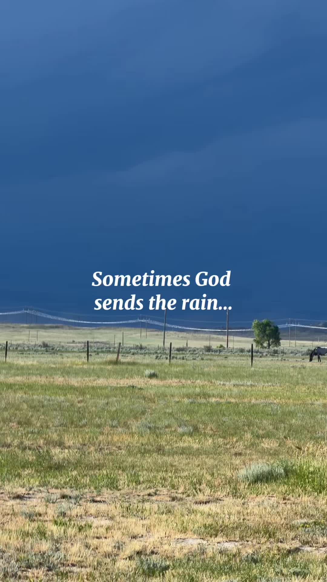 @🌻&dagger;HealthyHearted𝓂♡𝓂𝓂𝒶&dagger;🌻