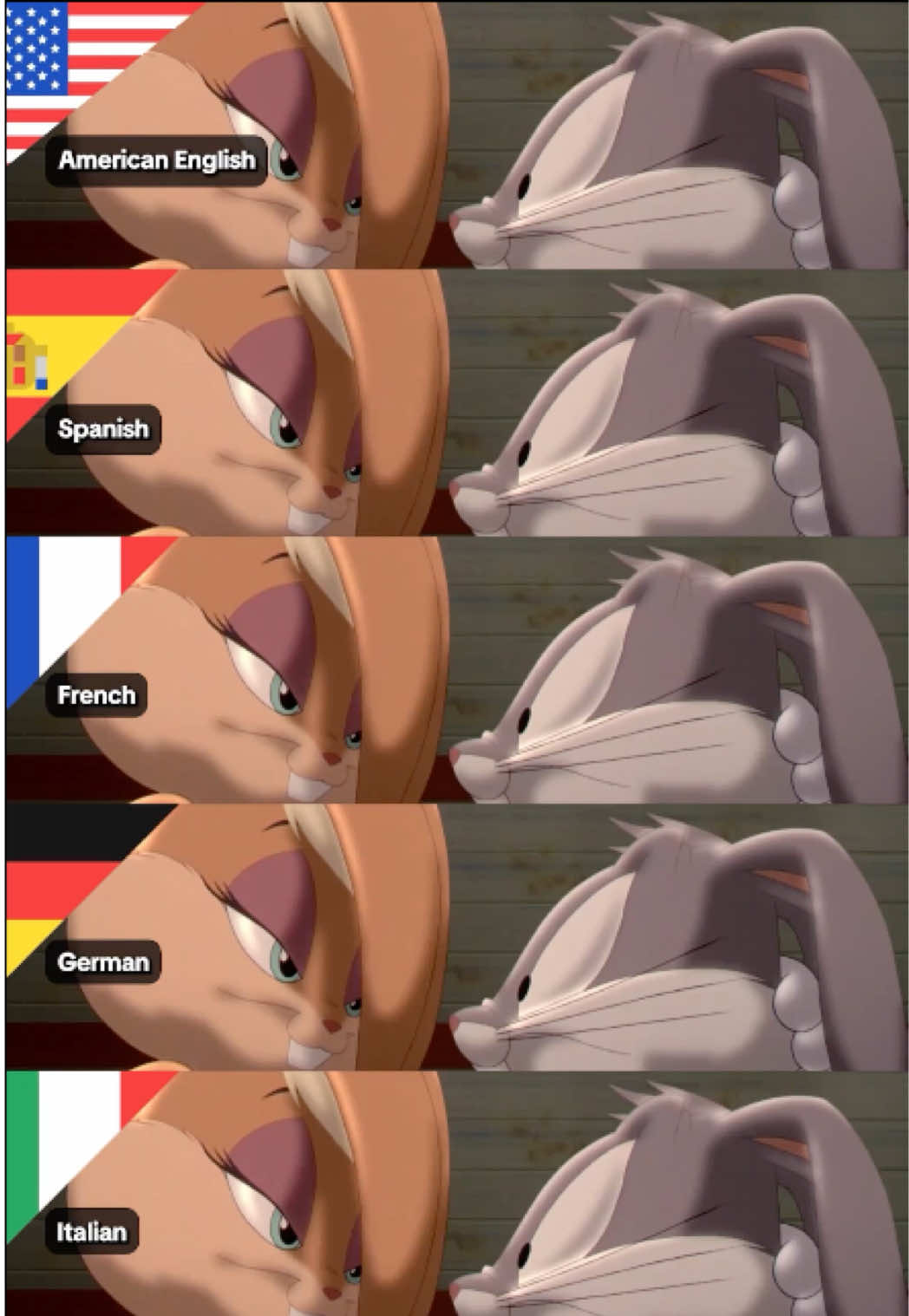 @Looney Tunes