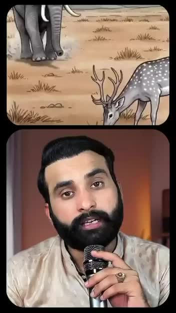 @Payal Mehta
