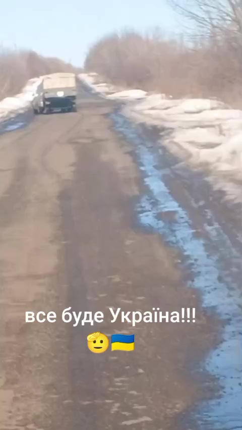 @Reko