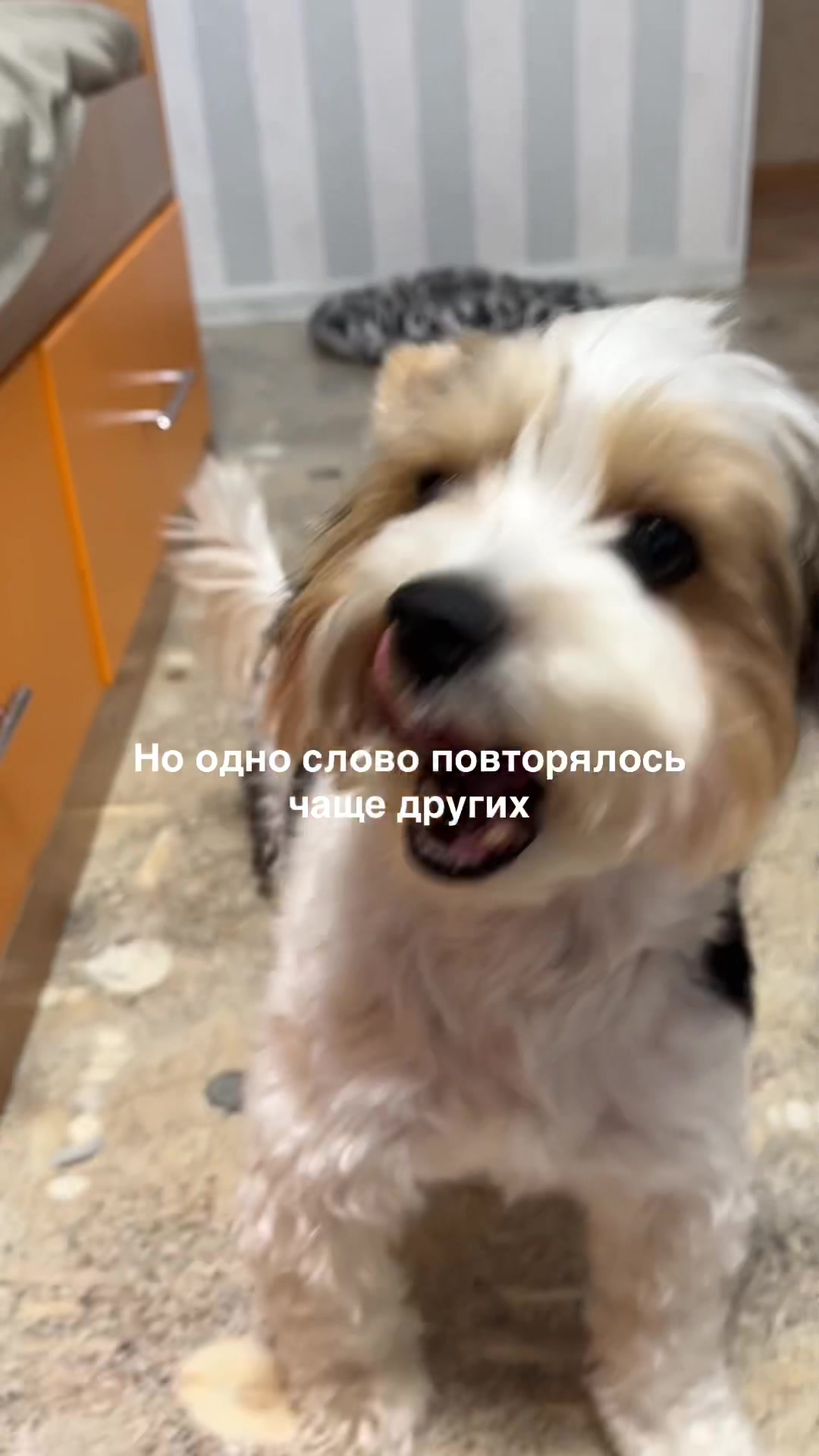 @Sofk