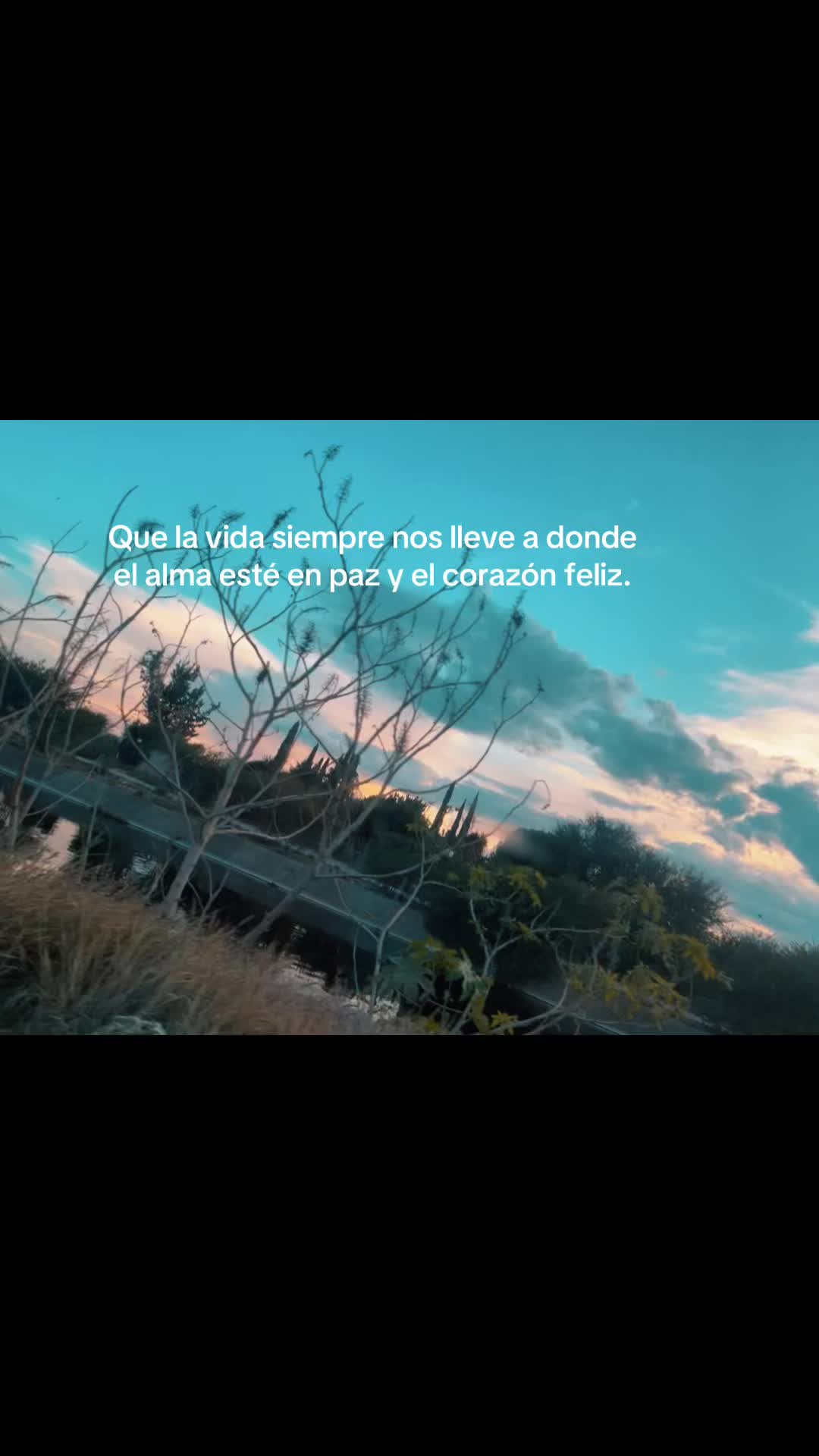 @sibelinaruiz.laoficial