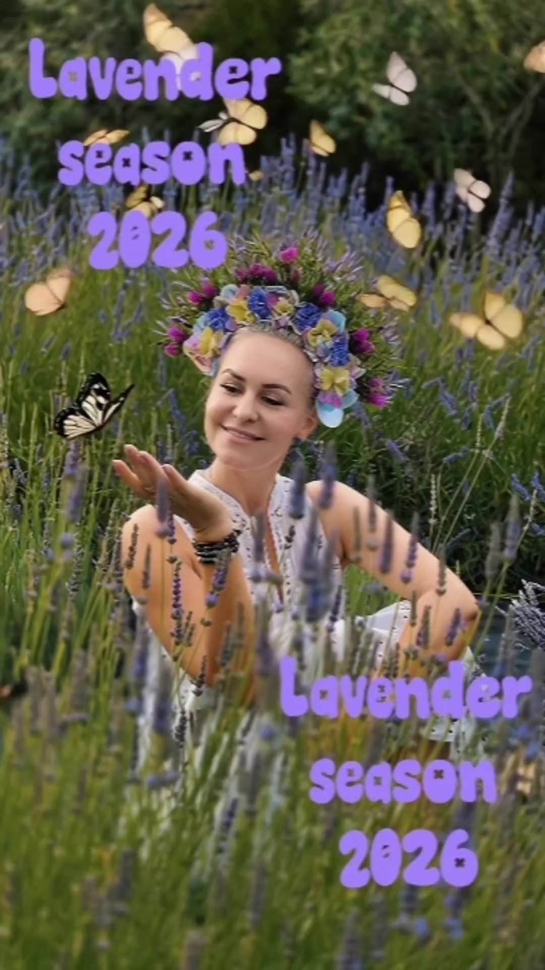 @Aria Lavender