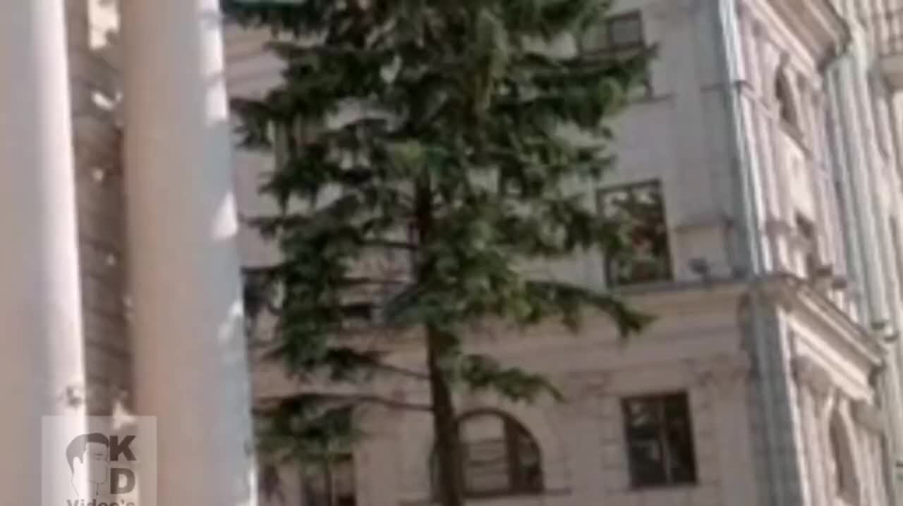 @Сям-Сям